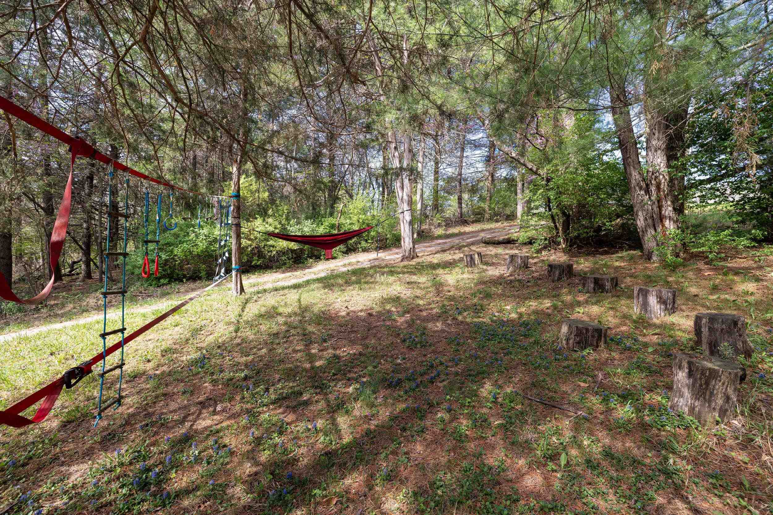 11159 MORNING VIEW RD, SINGERS GLEN, Virginia 22850, 3 Bedrooms Bedrooms, ,2 BathroomsBathrooms,Residential,11159 MORNING VIEW RD,676219 MLS # 676219