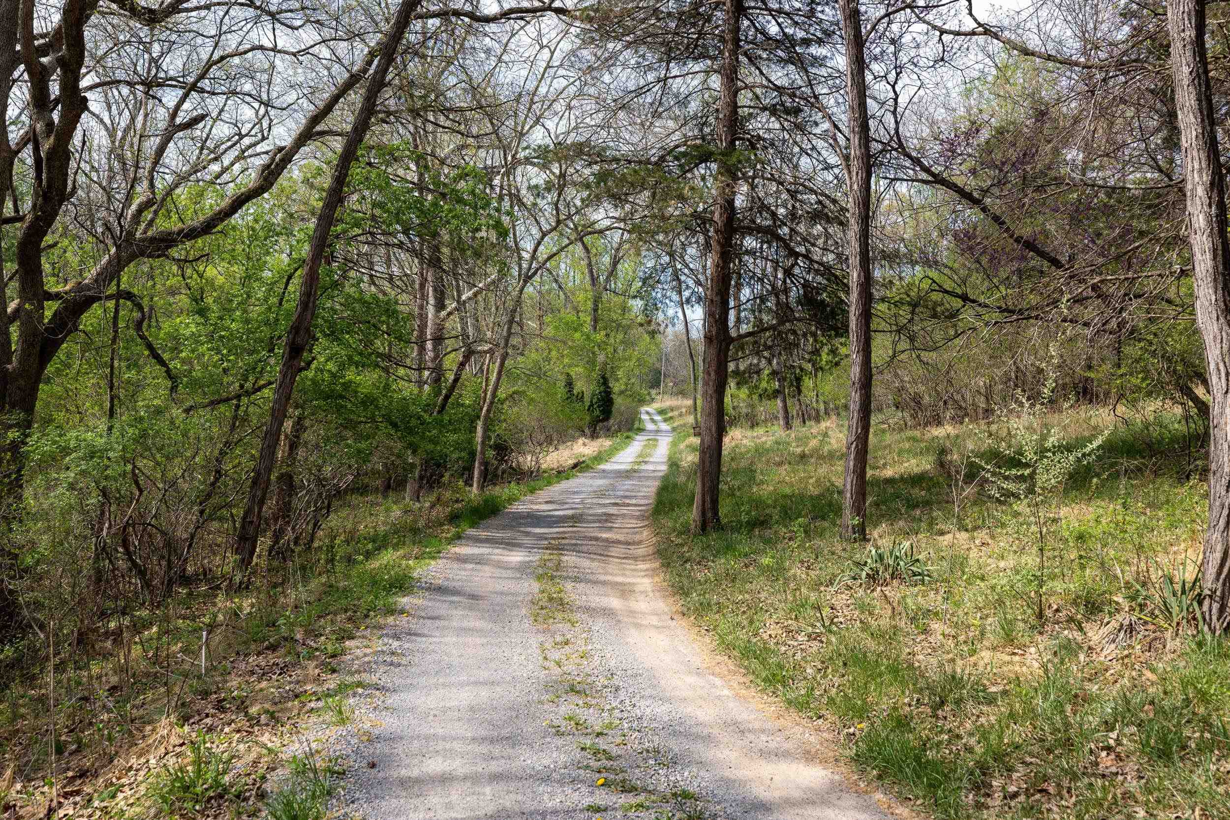 11159 MORNING VIEW RD, SINGERS GLEN, Virginia 22850, 3 Bedrooms Bedrooms, ,2 BathroomsBathrooms,Residential,11159 MORNING VIEW RD,676219 MLS # 676219