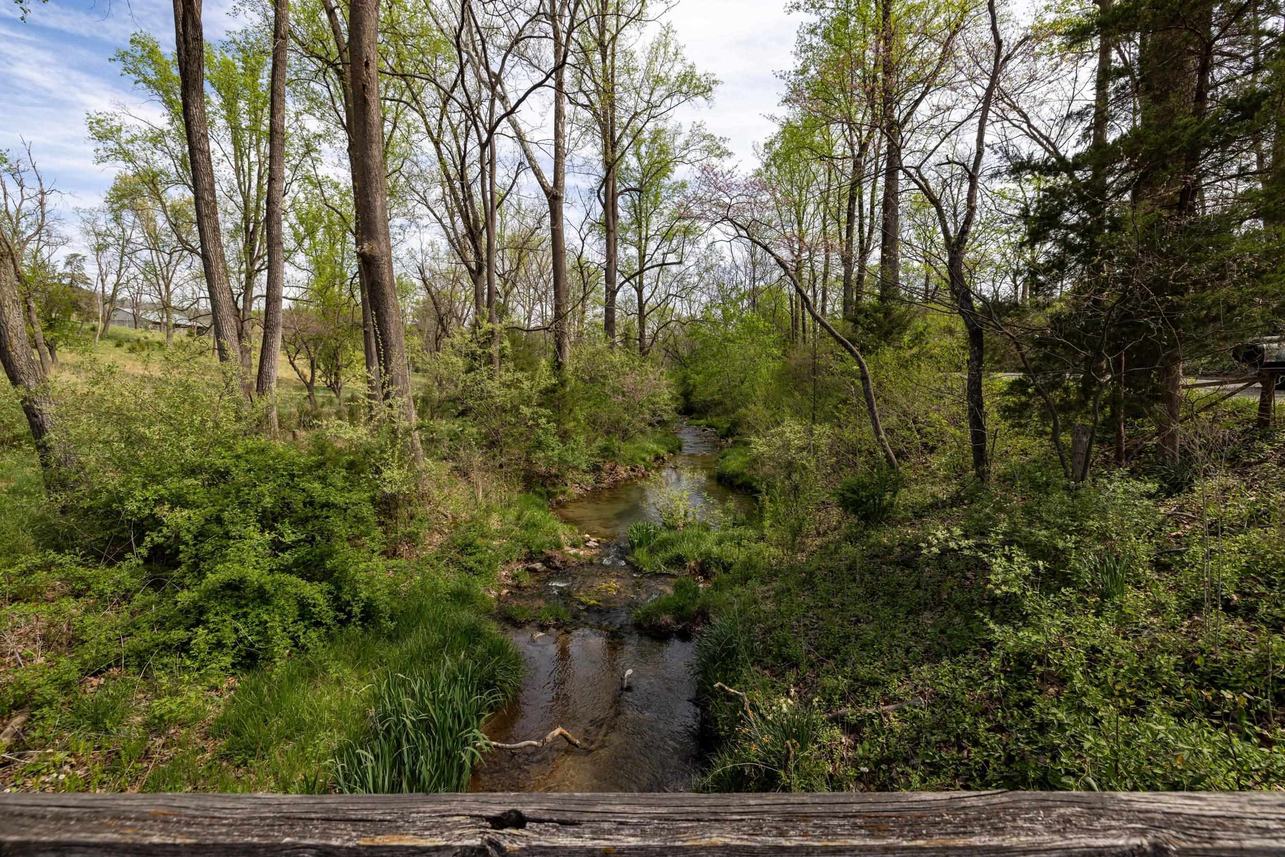 11159 MORNING VIEW RD, SINGERS GLEN, Virginia 22850, 3 Bedrooms Bedrooms, ,2 BathroomsBathrooms,Residential,11159 MORNING VIEW RD,676219 MLS # 676219