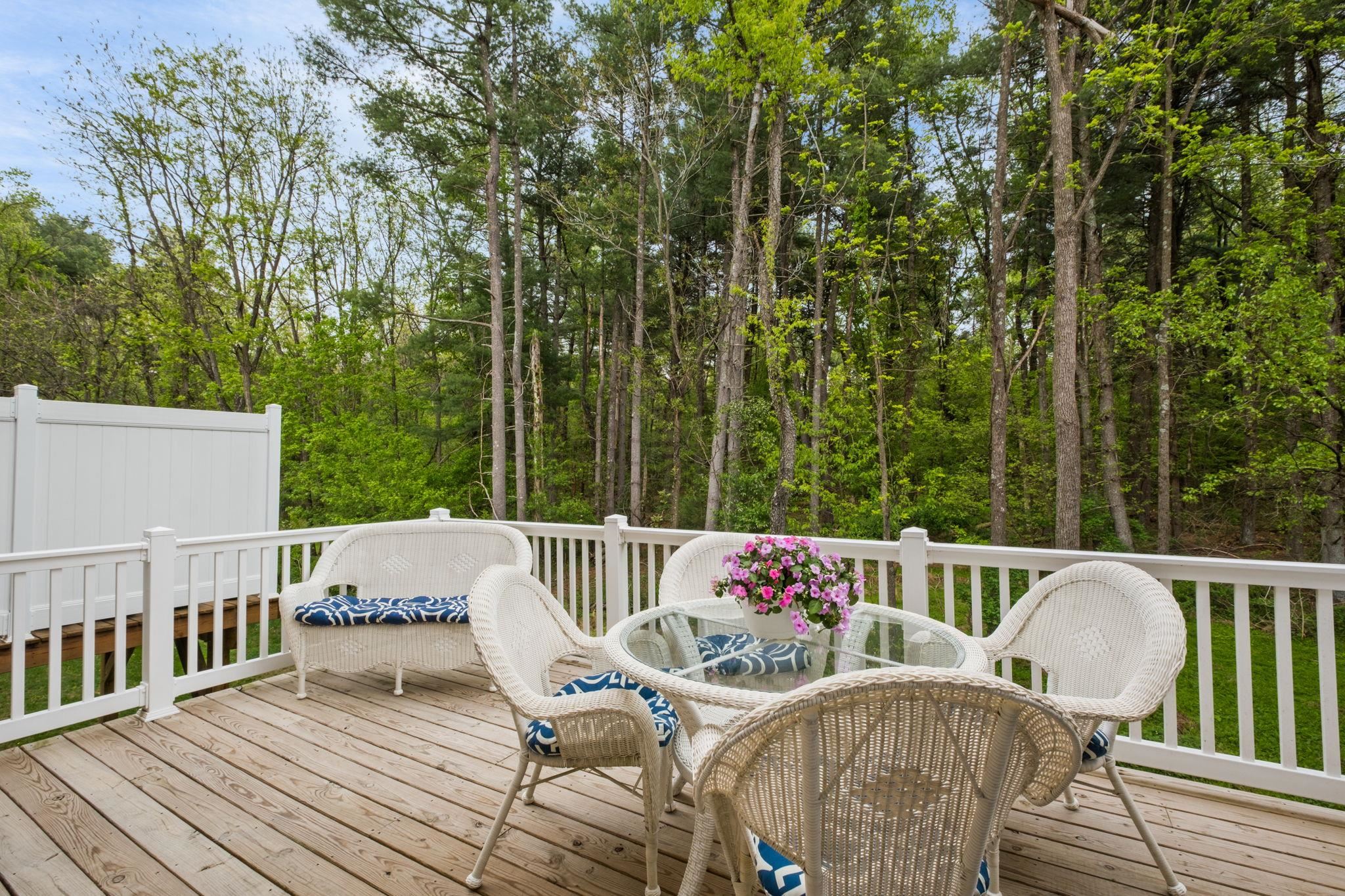 1553 PALOMINO TRL, ROCKINGHAM, Virginia 22801, 4 Bedrooms Bedrooms, ,3 BathroomsBathrooms,Residential,1553 PALOMINO TRL,676223 MLS # 676223