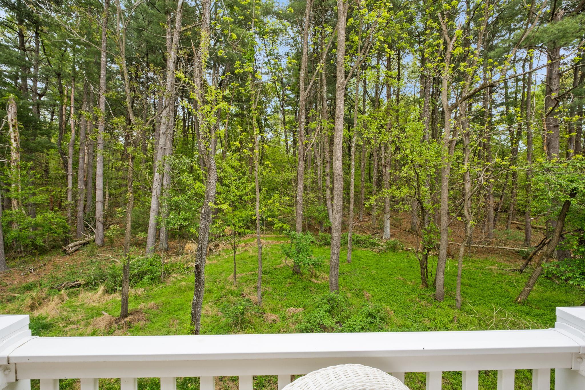 1553 PALOMINO TRL, ROCKINGHAM, Virginia 22801, 4 Bedrooms Bedrooms, ,3 BathroomsBathrooms,Residential,1553 PALOMINO TRL,676223 MLS # 676223