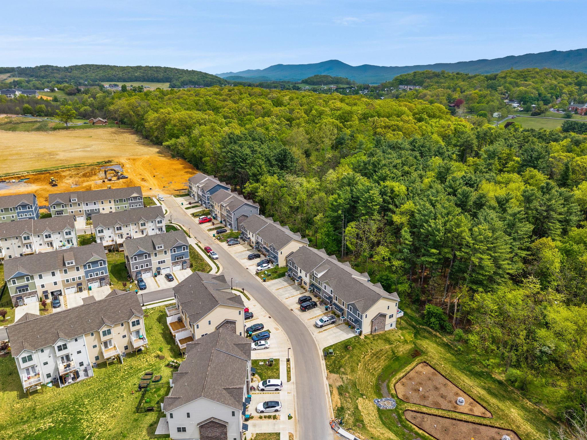 1553 PALOMINO TRL, ROCKINGHAM, Virginia 22801, 4 Bedrooms Bedrooms, ,3 BathroomsBathrooms,Residential,1553 PALOMINO TRL,676223 MLS # 676223