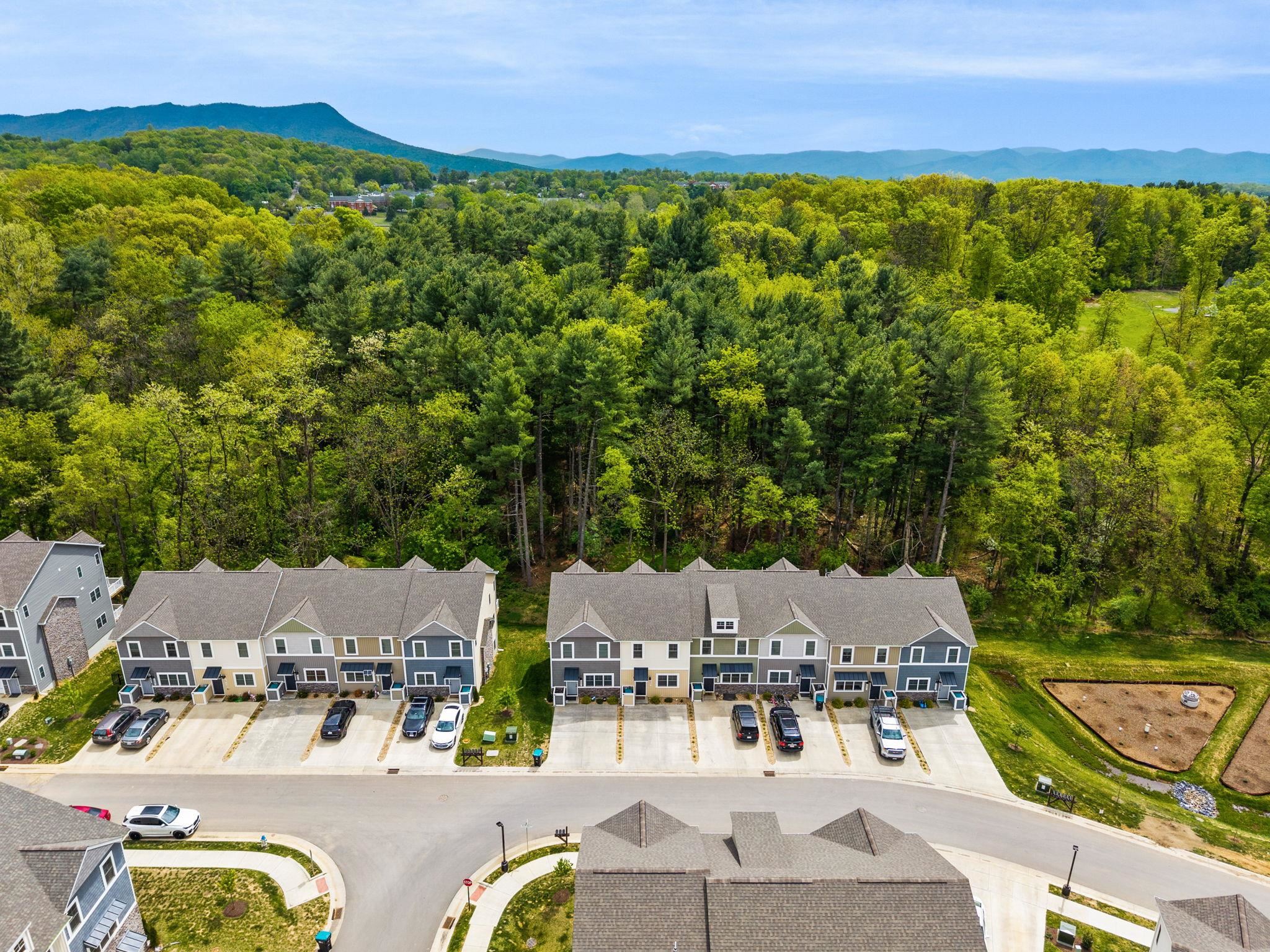 1553 PALOMINO TRL, ROCKINGHAM, Virginia 22801, 4 Bedrooms Bedrooms, ,3 BathroomsBathrooms,Residential,1553 PALOMINO TRL,676223 MLS # 676223