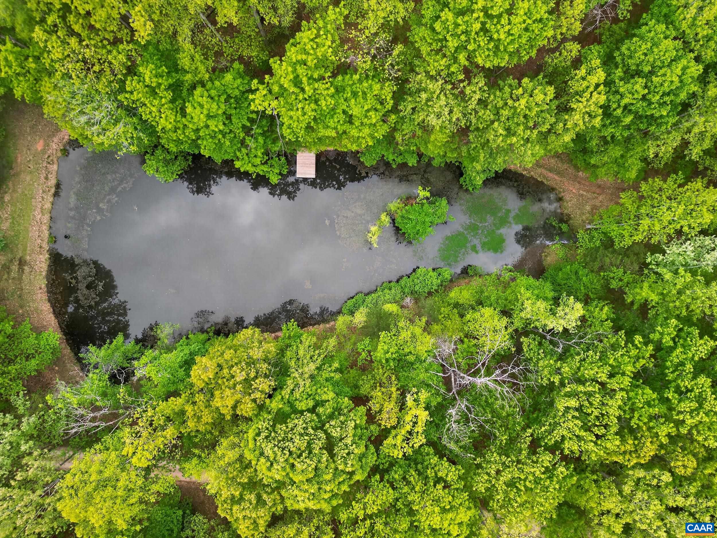 141 CRADON HILL LN, AMHERST, Virginia 24521, 3 Bedrooms Bedrooms, ,3 BathroomsBathrooms,Residential,141 CRADON HILL LN,676224 MLS # 676224