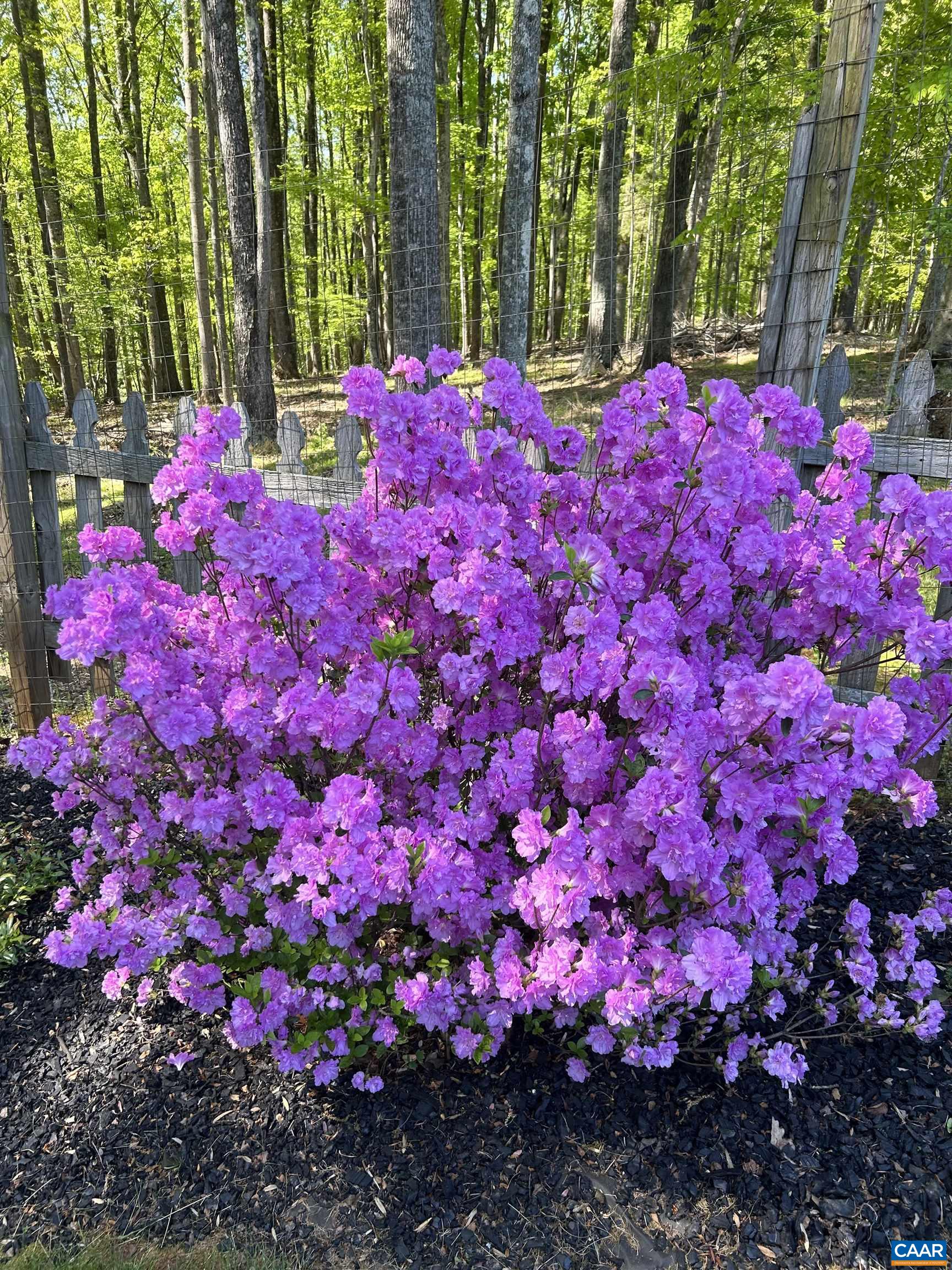 141 CRADON HILL LN, AMHERST, Virginia 24521, 3 Bedrooms Bedrooms, ,3 BathroomsBathrooms,Residential,141 CRADON HILL LN,676224 MLS # 676224