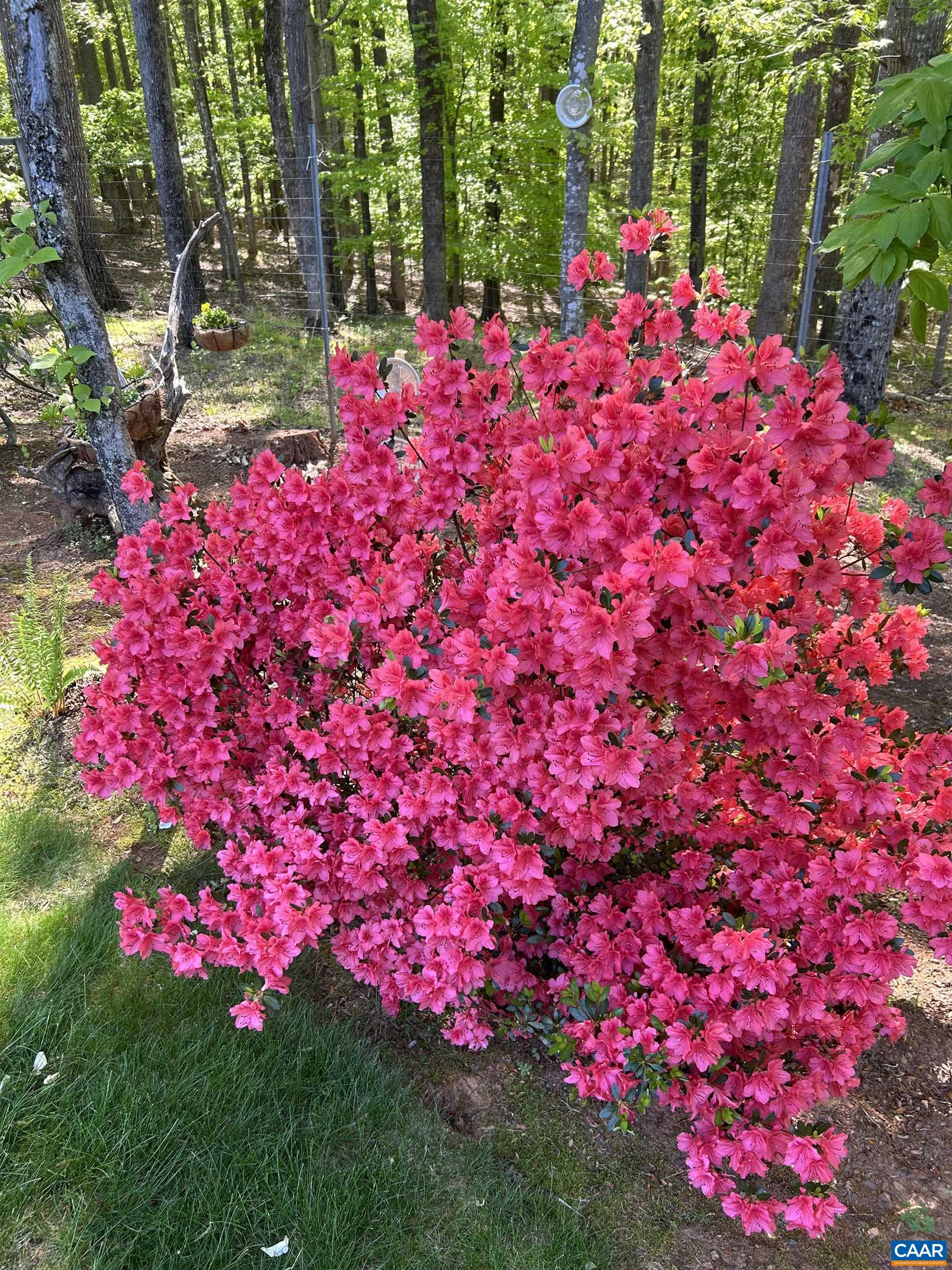 141 CRADON HILL LN, AMHERST, Virginia 24521, 3 Bedrooms Bedrooms, ,3 BathroomsBathrooms,Residential,141 CRADON HILL LN,676224 MLS # 676224