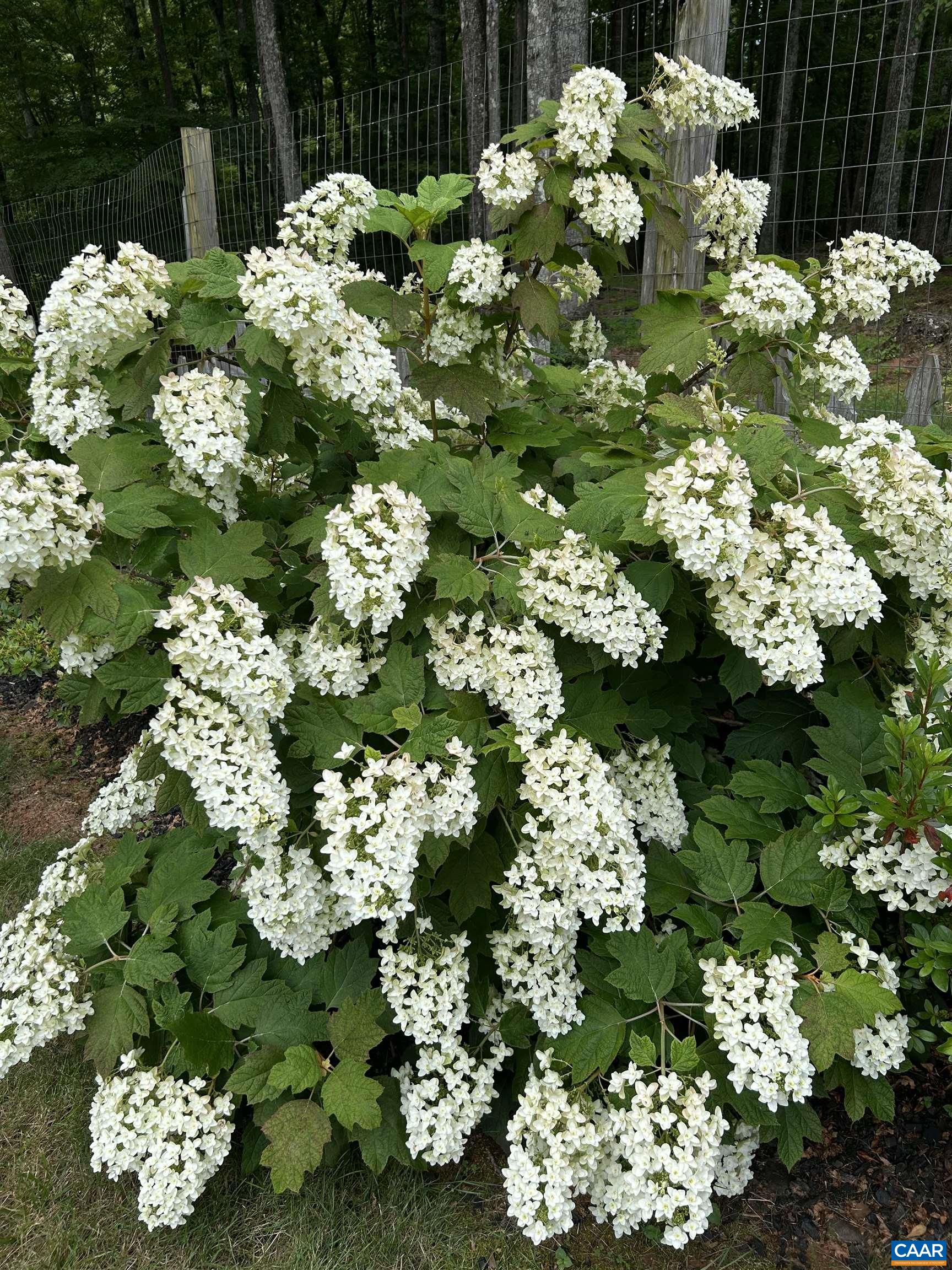 141 CRADON HILL LN, AMHERST, Virginia 24521, 3 Bedrooms Bedrooms, ,3 BathroomsBathrooms,Residential,141 CRADON HILL LN,676224 MLS # 676224