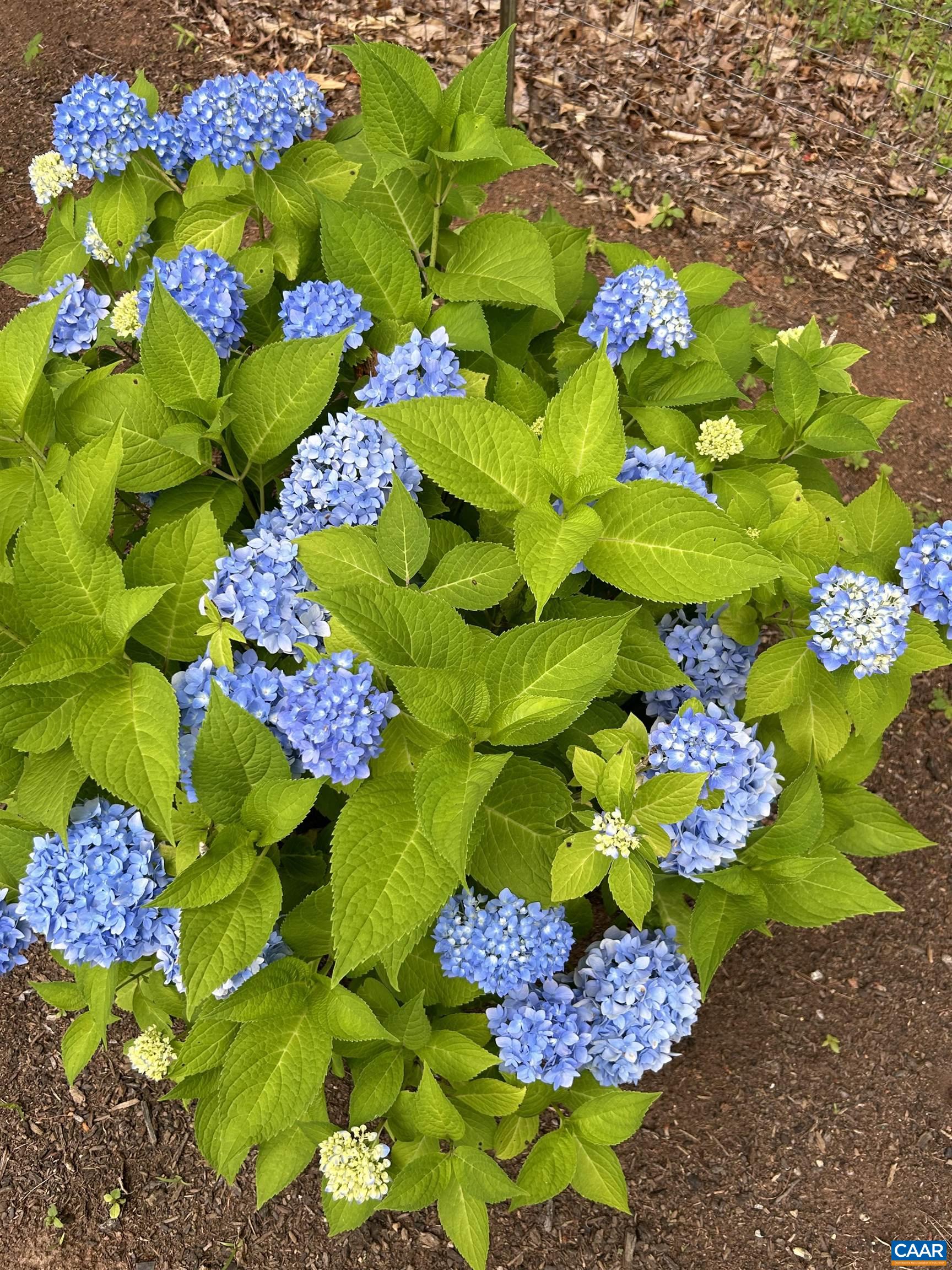 141 CRADON HILL LN, AMHERST, Virginia 24521, 3 Bedrooms Bedrooms, ,3 BathroomsBathrooms,Residential,141 CRADON HILL LN,676224 MLS # 676224