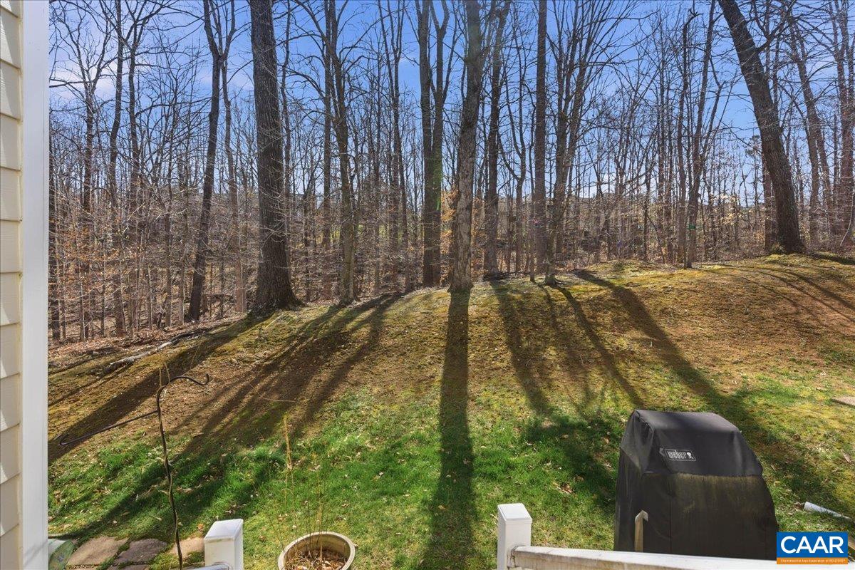 2054 BETHPAGE CT, CHARLOTTESVILLE, Virginia 22901, 3 Bedrooms Bedrooms, ,2 BathroomsBathrooms,Residential,2054 BETHPAGE CT,676248 MLS # 676248