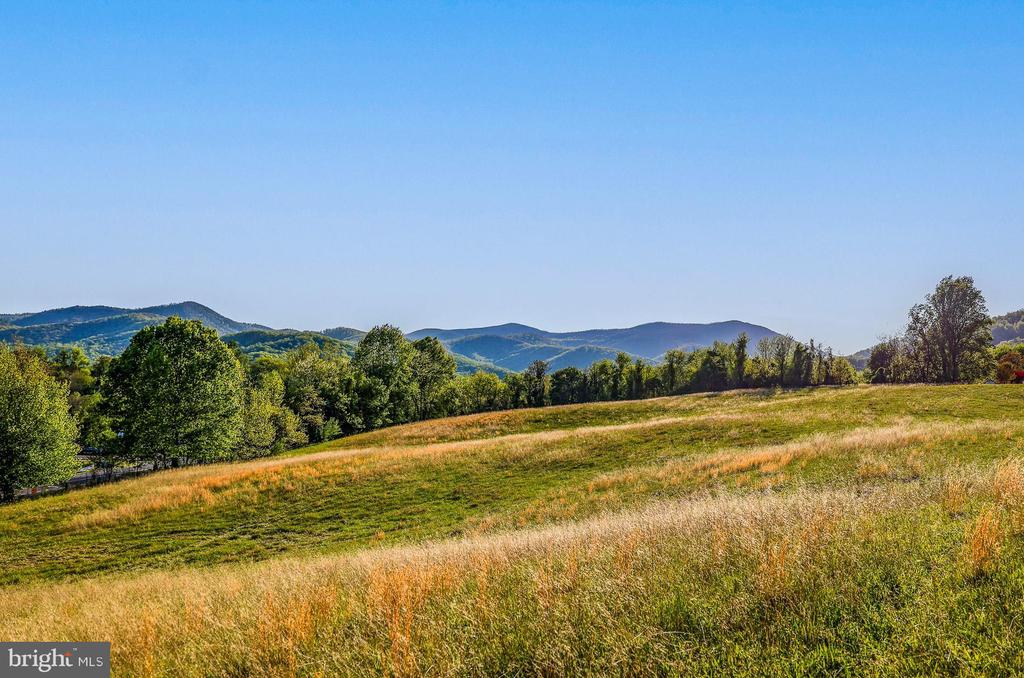 PORTION OF TAX ID 38-71, SPERRYVILLE, Virginia 22740, ,Land,PORTION OF TAX ID 38-71,VARP2002602 MLS # VARP2002602