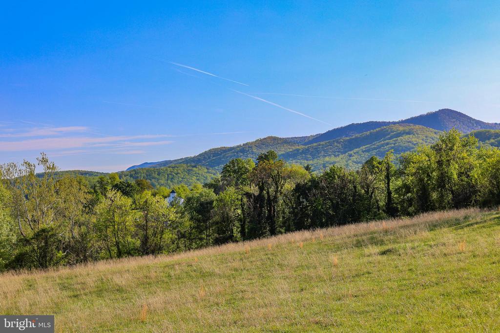 PORTION OF TAX ID 38-71, SPERRYVILLE, Virginia 22740, ,Land,PORTION OF TAX ID 38-71,VARP2002602 MLS # VARP2002602