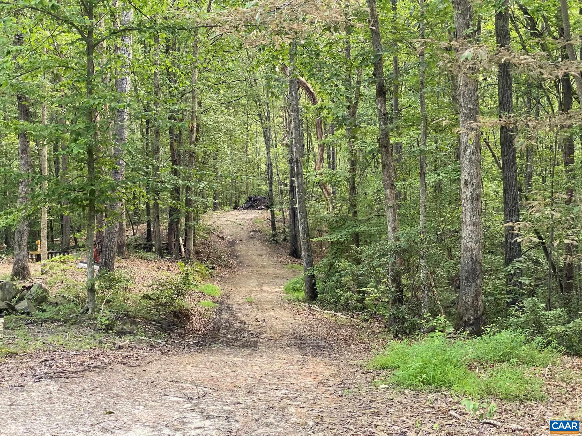 N-74 SALEM RD, SCHUYLER, Virginia 22969, ,Land,N-74 SALEM RD,666991 MLS # 666991