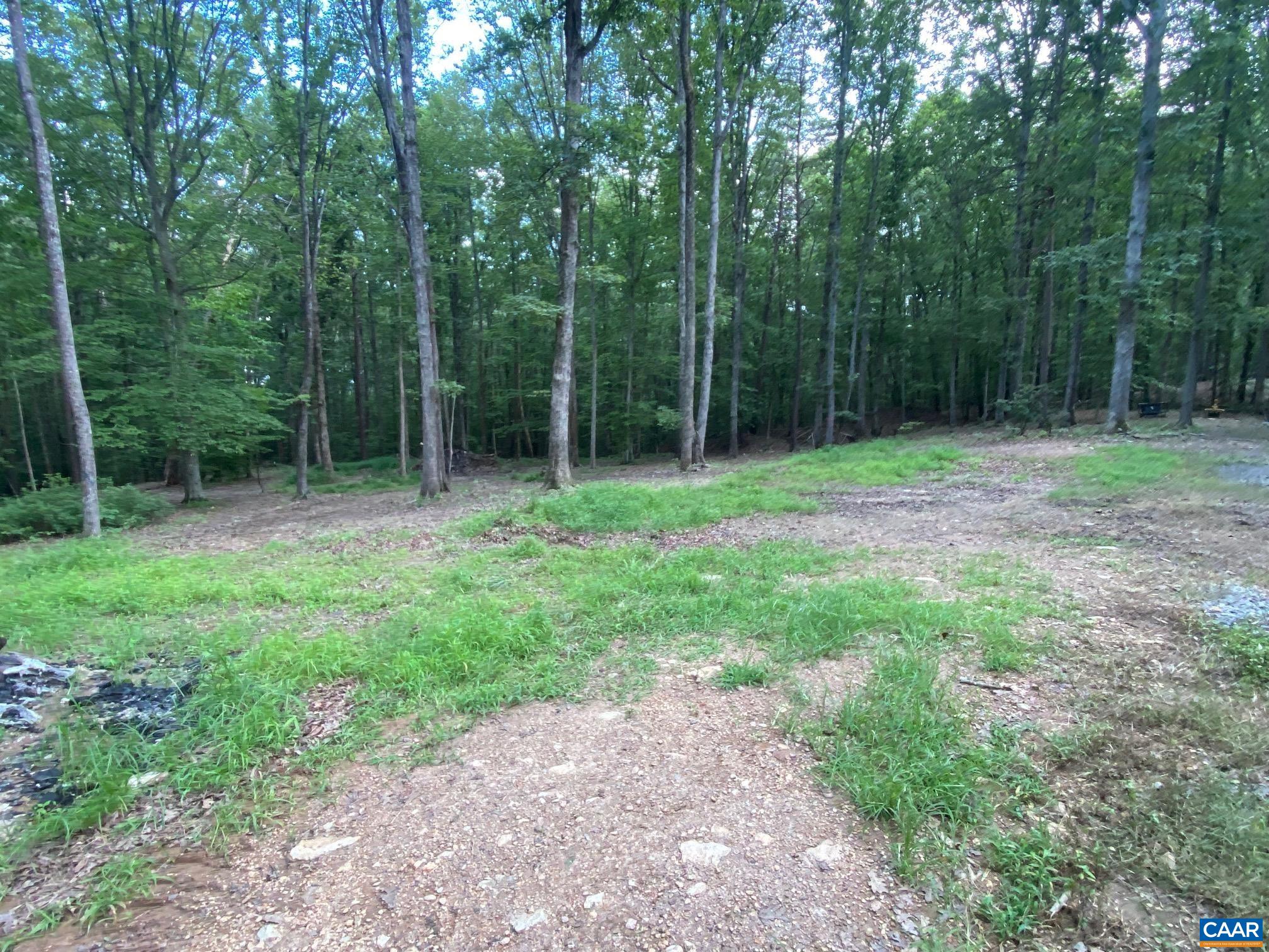 N-74 SALEM RD, SCHUYLER, Virginia 22969, ,Land,N-74 SALEM RD,666991 MLS # 666991