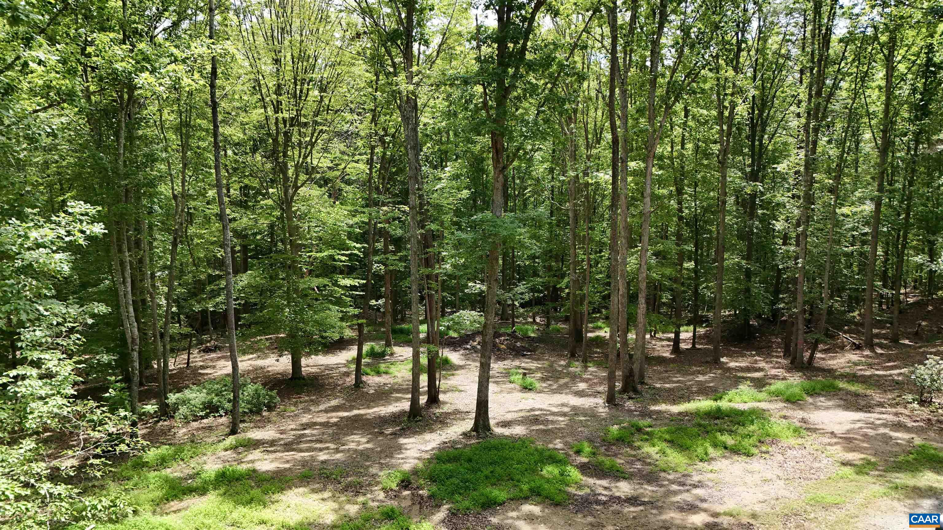 N-74 SALEM RD, SCHUYLER, Virginia 22969, ,Land,N-74 SALEM RD,666991 MLS # 666991