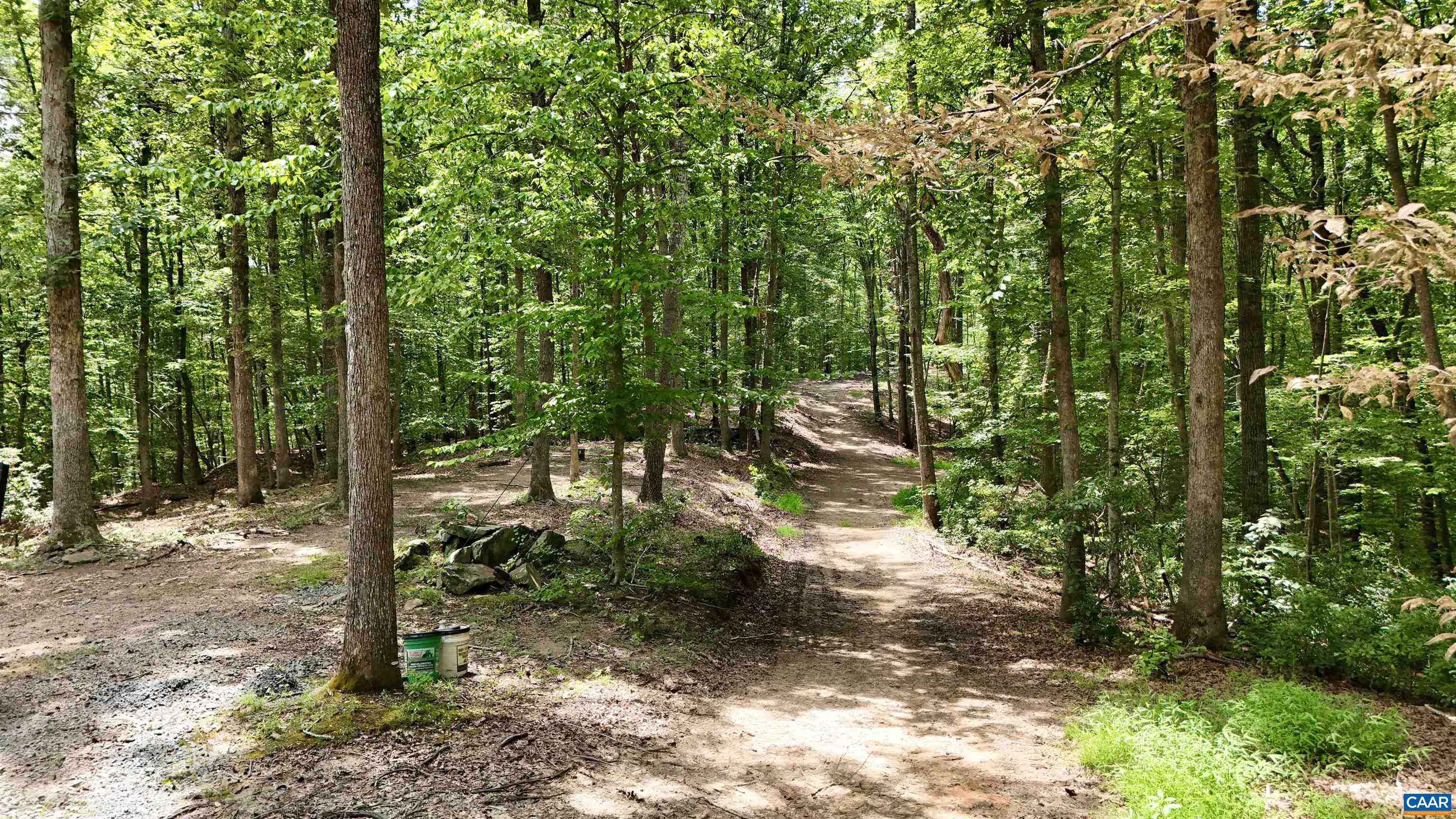 N-74 SALEM RD, SCHUYLER, Virginia 22969, ,Land,N-74 SALEM RD,666991 MLS # 666991