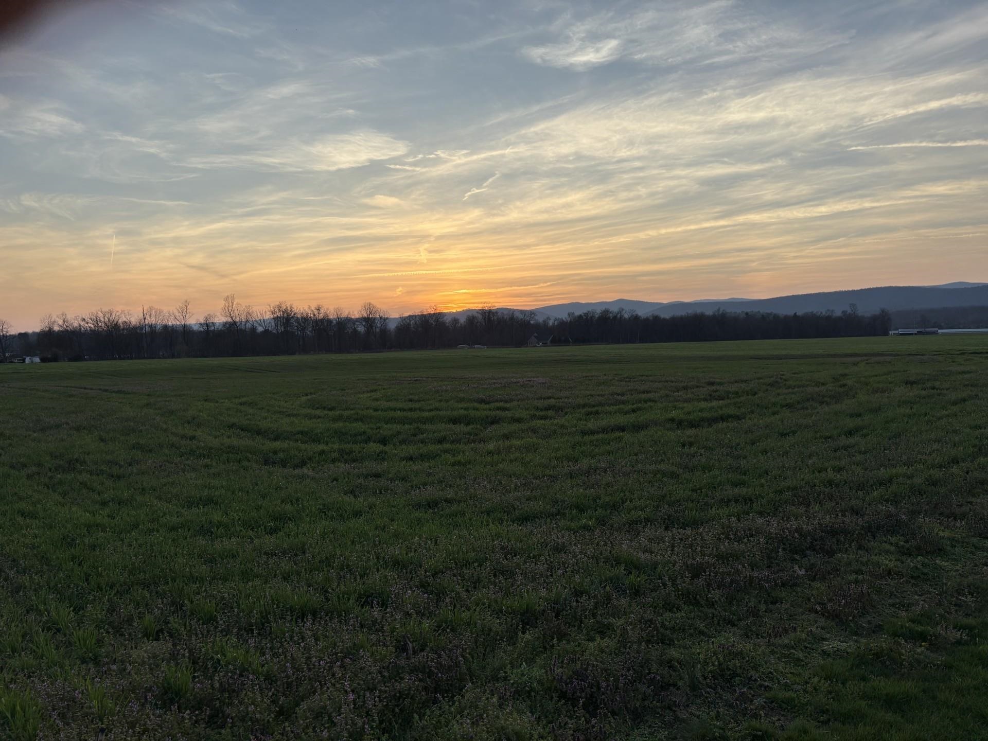 TBD CLOVER HILL RD, DAYTON, Virginia 22821, ,Land,TBD CLOVER HILL RD,674987 MLS # 674987