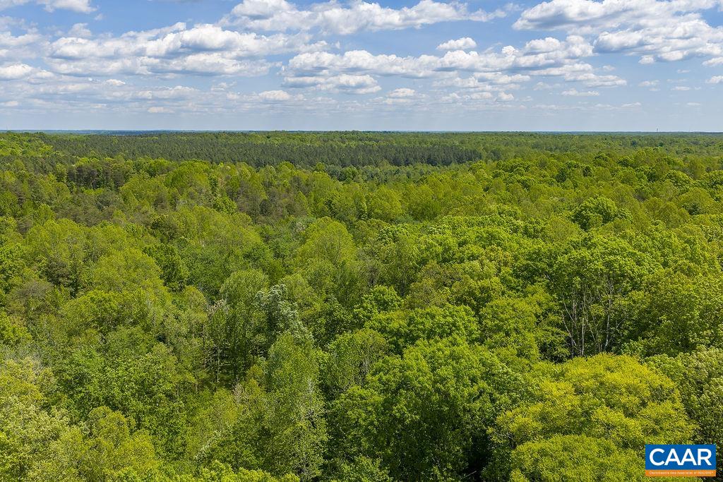 3850 COUNTY LINE RD, KENTS STORE, Virginia 23084, ,Land,3850 COUNTY LINE RD,676281 MLS # 676281