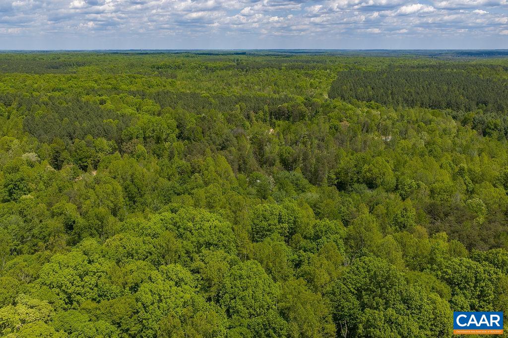 3850 COUNTY LINE RD, KENTS STORE, Virginia 23084, ,Land,3850 COUNTY LINE RD,676281 MLS # 676281