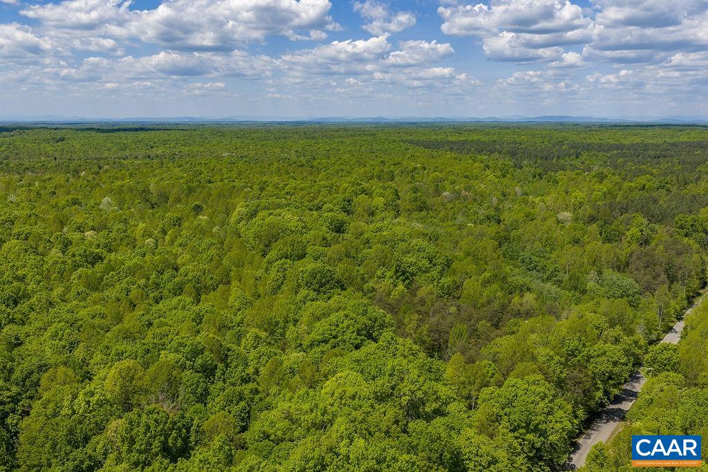 3850 COUNTY LINE RD, KENTS STORE, Virginia 23084, ,Land,3850 COUNTY LINE RD,676281 MLS # 676281