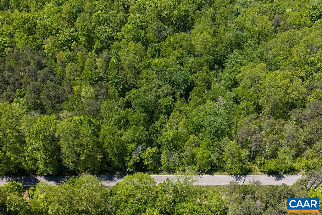 3850 COUNTY LINE RD, KENTS STORE, Virginia 23084, ,Land,3850 COUNTY LINE RD,676281 MLS # 676281