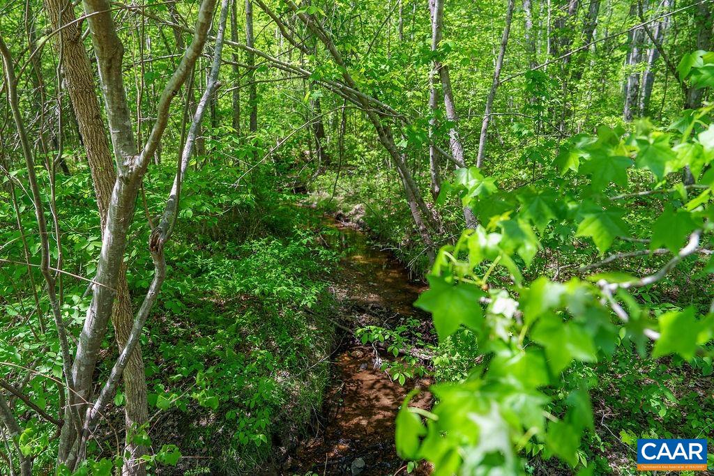 3850 COUNTY LINE RD, KENTS STORE, Virginia 23084, ,Land,3850 COUNTY LINE RD,676281 MLS # 676281