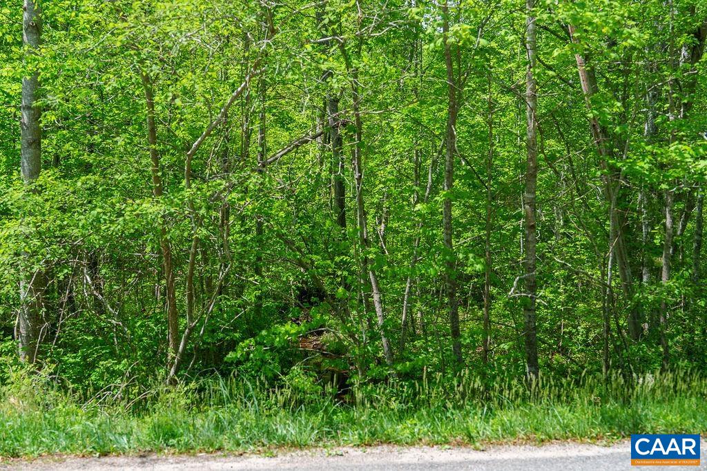 3850 COUNTY LINE RD, KENTS STORE, Virginia 23084, ,Land,3850 COUNTY LINE RD,676281 MLS # 676281