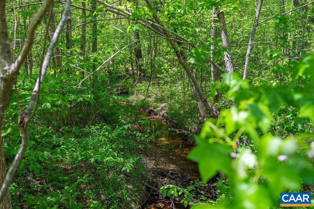 3850 COUNTY LINE RD, KENTS STORE, Virginia 23084, ,Land,3850 COUNTY LINE RD,676281 MLS # 676281