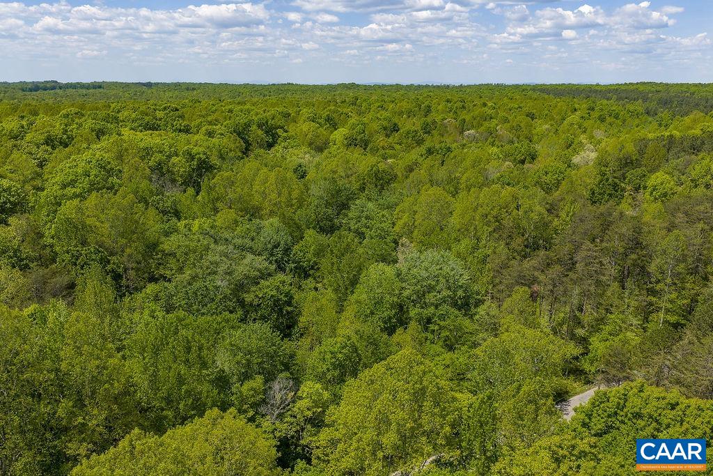 3850 COUNTY LINE RD, KENTS STORE, Virginia 23084, ,Land,3850 COUNTY LINE RD,676281 MLS # 676281