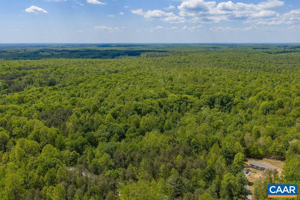 3850 COUNTY LINE RD, KENTS STORE, Virginia 23084, ,Land,3850 COUNTY LINE RD,676281 MLS # 676281