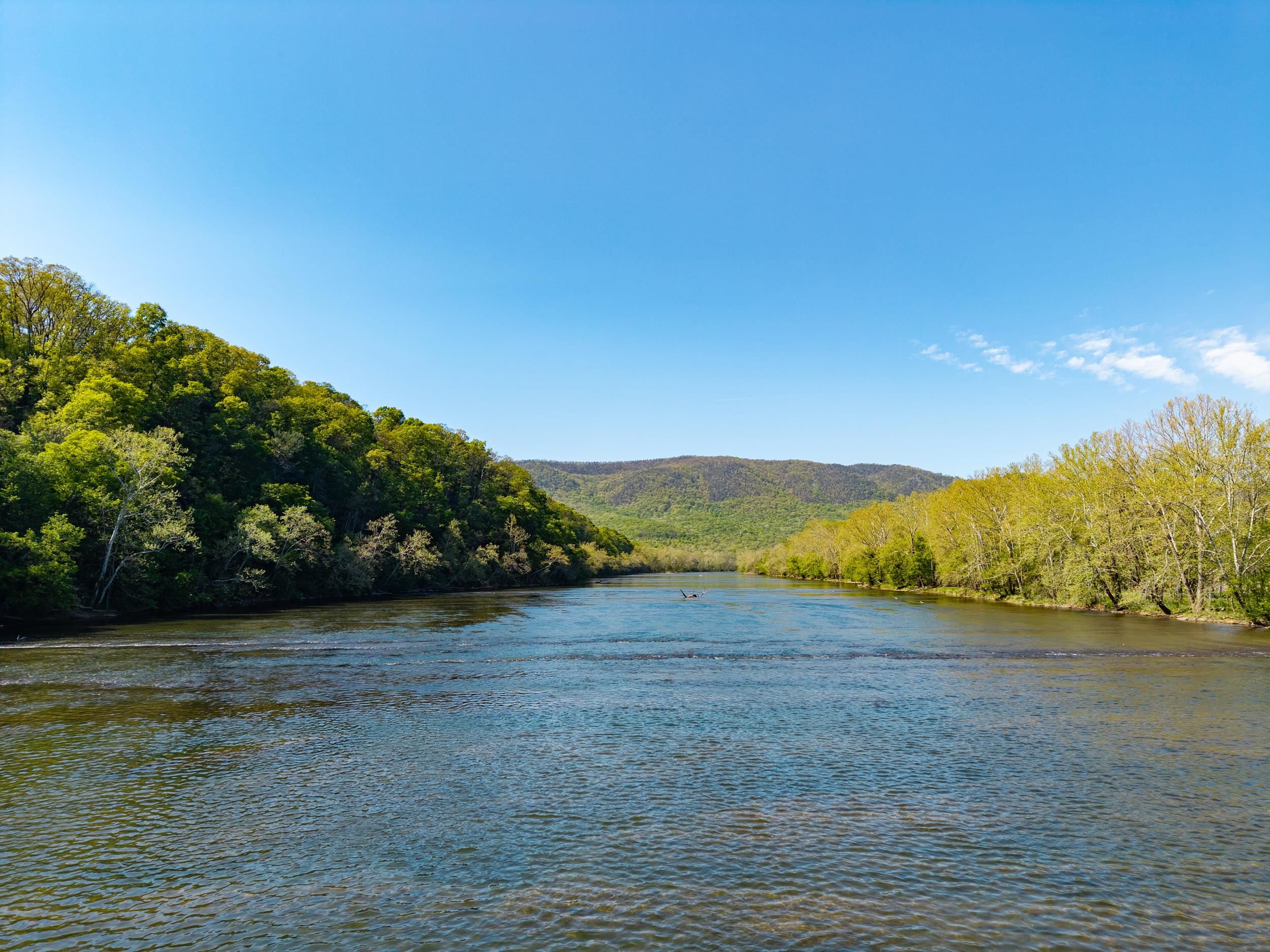 706 RICHVIEW RD, RILEYVILLE, Virginia 22650, 2 Bedrooms Bedrooms, ,1 BathroomBathrooms,Residential,706 RICHVIEW RD,676260 MLS # 676260