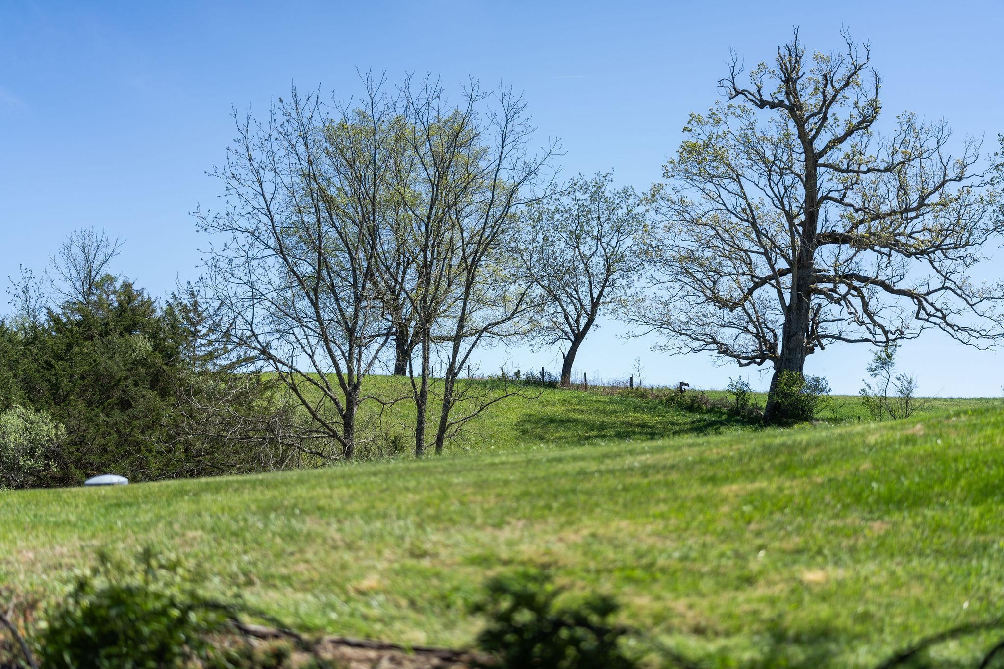 1772 NEWPORT RD, RAPHINE, Virginia 24472, 2 Bedrooms Bedrooms, ,2 BathroomsBathrooms,Residential,1772 NEWPORT RD,676262 MLS # 676262