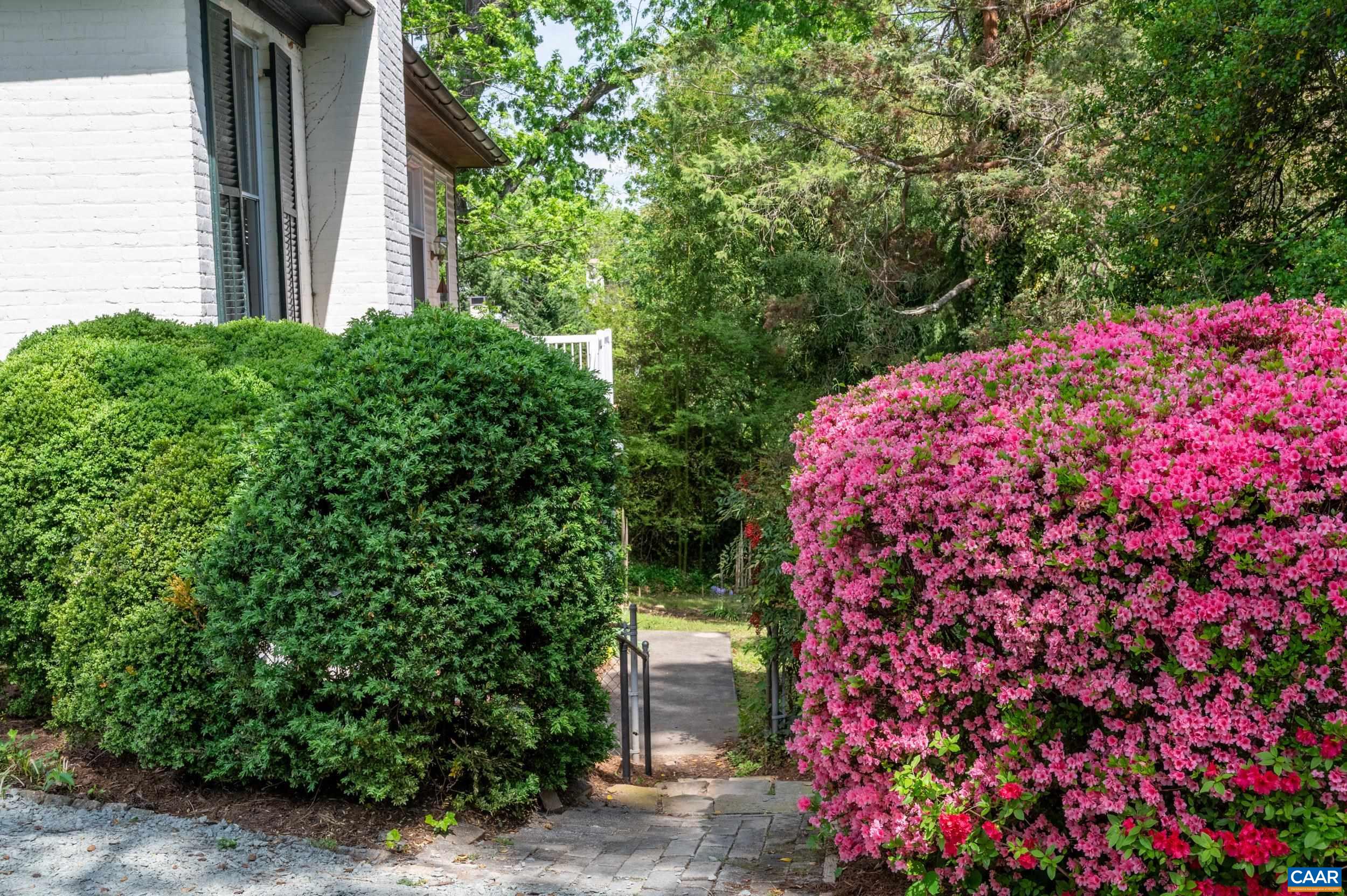 900 RUGBY RD, CHARLOTTESVILLE, Virginia 22903, 4 Bedrooms Bedrooms, ,4 BathroomsBathrooms,Residential,900 RUGBY RD,676269 MLS # 676269