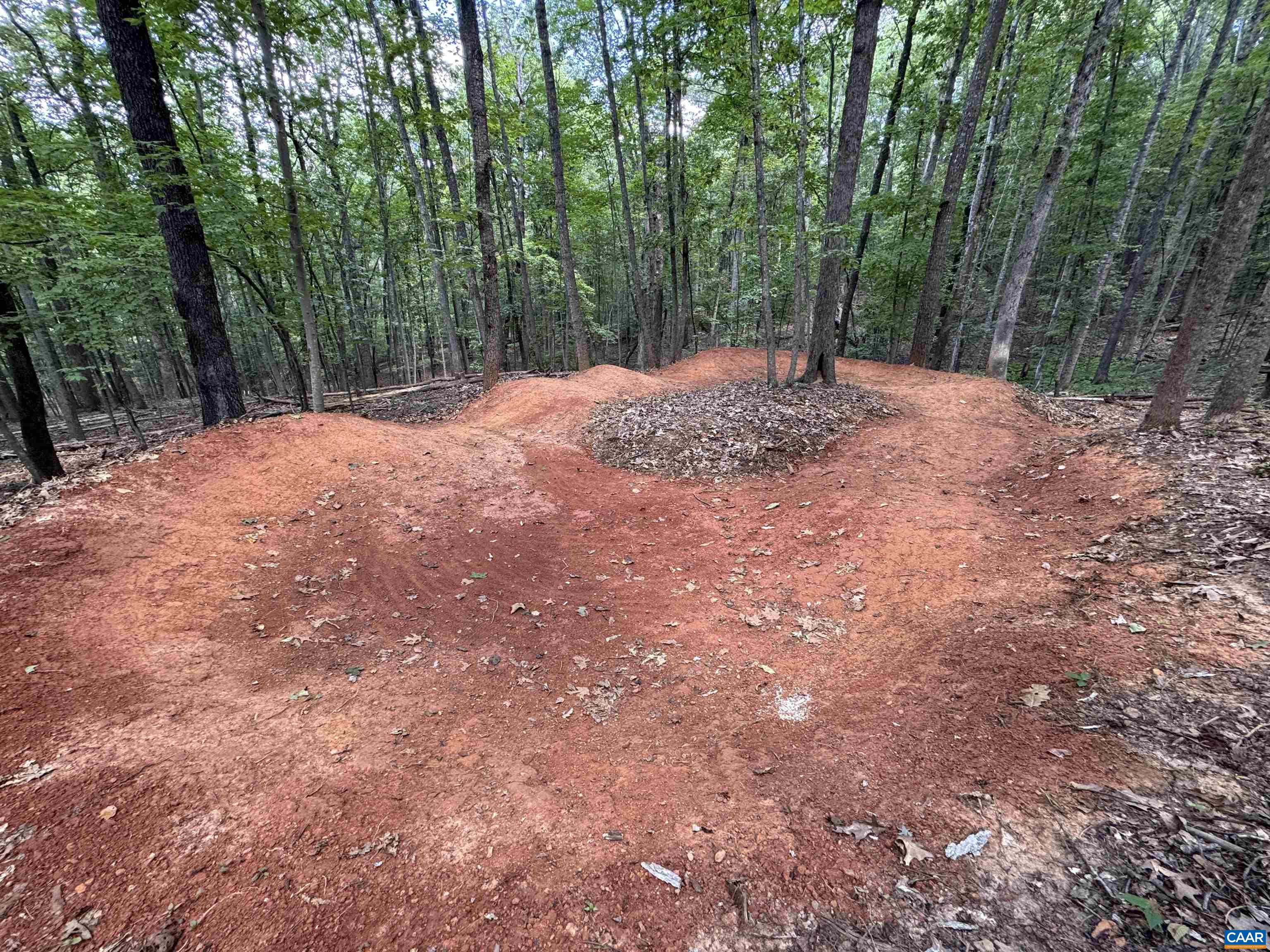 220 HOMESTEAD LN, CHARLOTTESVILLE, Virginia 22902, 3 Bedrooms Bedrooms, ,2 BathroomsBathrooms,Residential,220 HOMESTEAD LN,676061 MLS # 676061