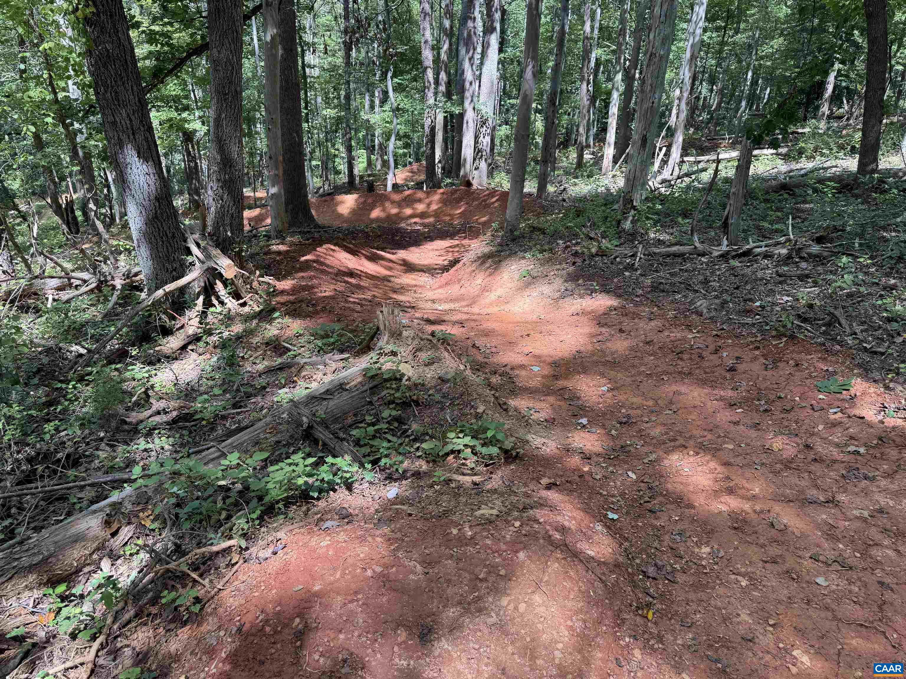 220 HOMESTEAD LN, CHARLOTTESVILLE, Virginia 22902, 3 Bedrooms Bedrooms, ,2 BathroomsBathrooms,Residential,220 HOMESTEAD LN,676061 MLS # 676061