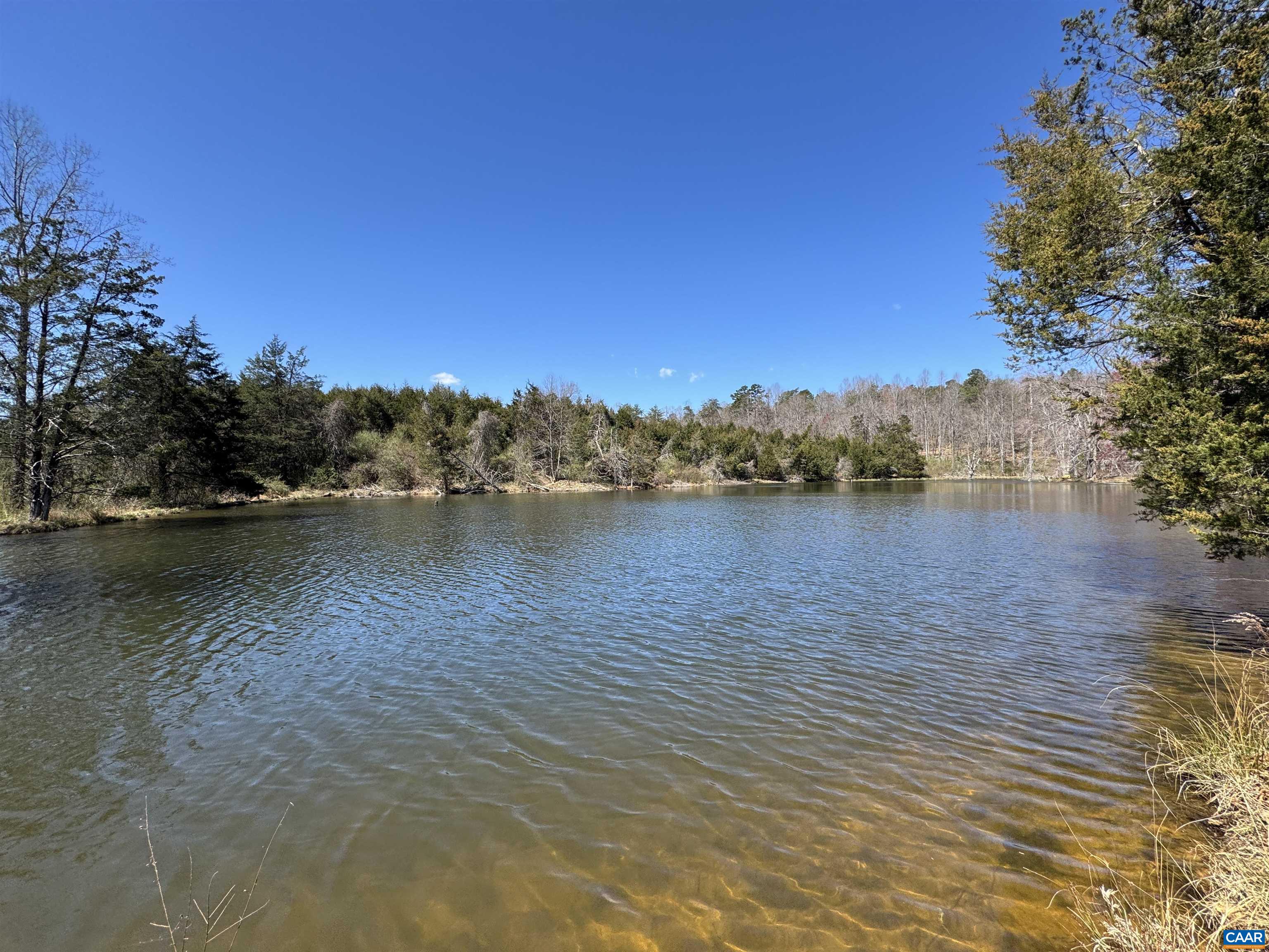 220 HOMESTEAD LN, CHARLOTTESVILLE, Virginia 22902, 3 Bedrooms Bedrooms, ,2 BathroomsBathrooms,Residential,220 HOMESTEAD LN,676061 MLS # 676061