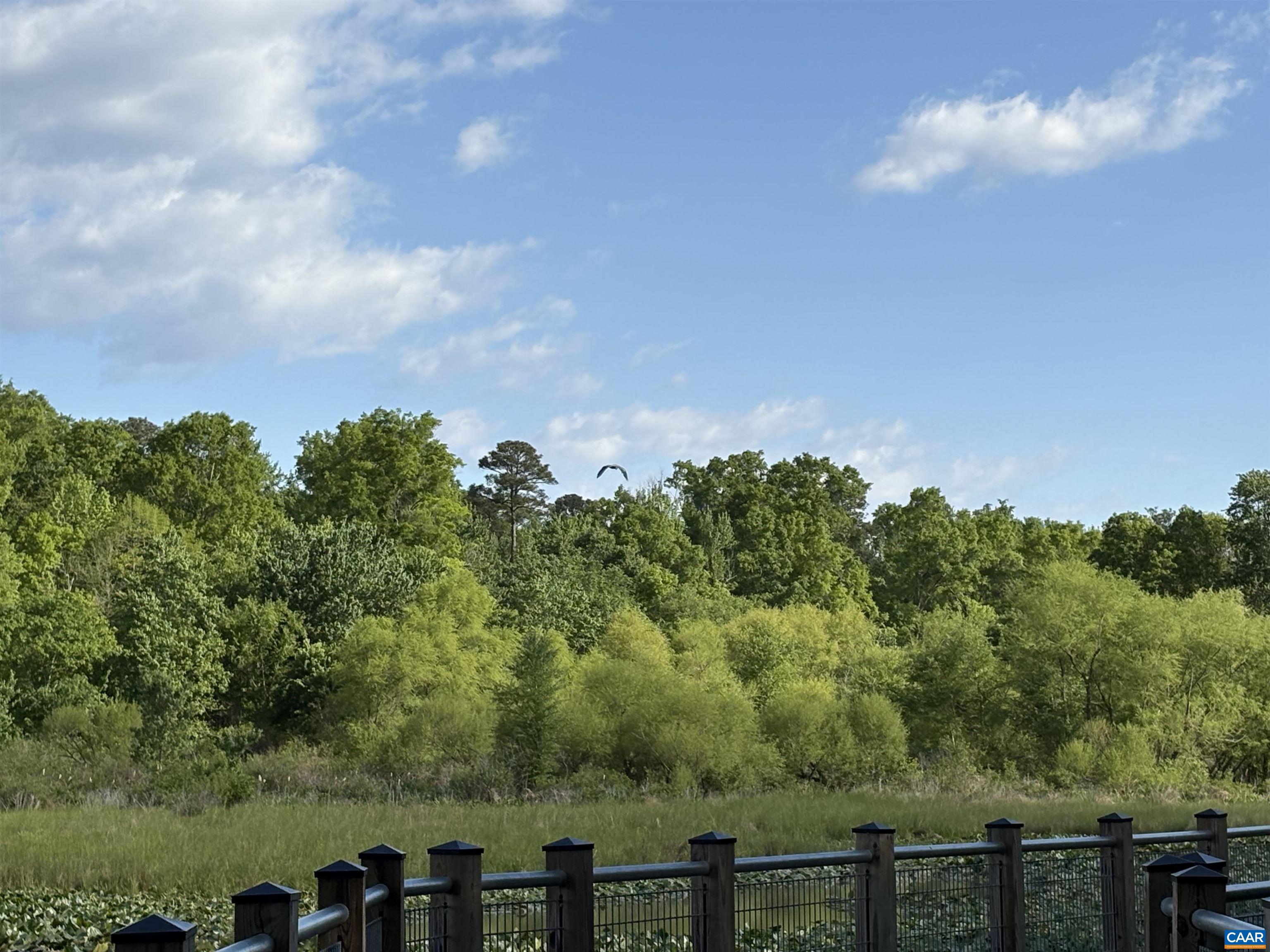 2305 OLD COACH LN, HENRICO, Virginia 23238, 4 Bedrooms Bedrooms, ,2 BathroomsBathrooms,Residential,2305 OLD COACH LN,676277 MLS # 676277