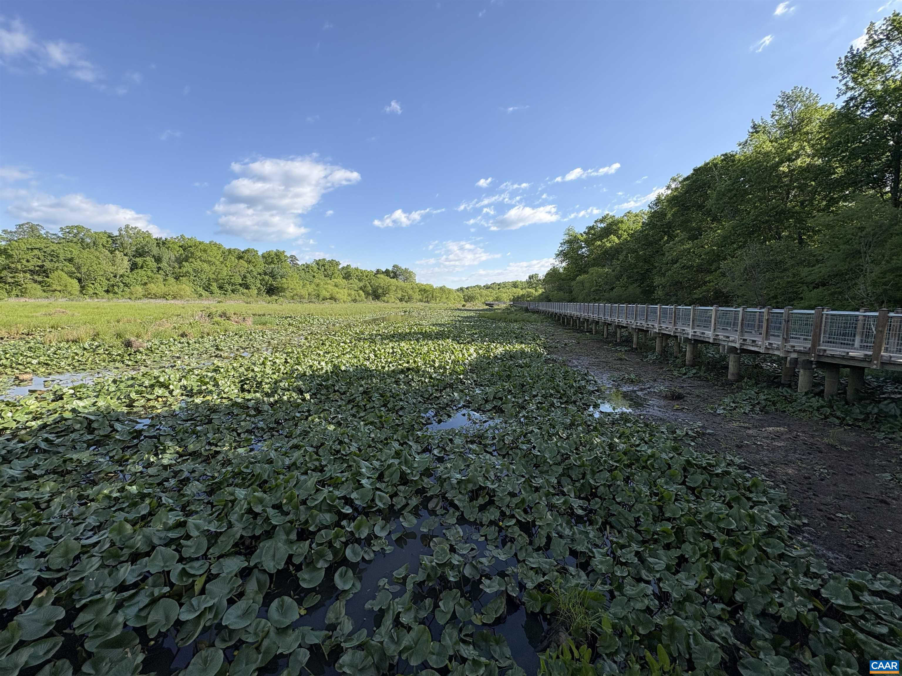 2305 OLD COACH LN, HENRICO, Virginia 23238, 4 Bedrooms Bedrooms, ,2 BathroomsBathrooms,Residential,2305 OLD COACH LN,676277 MLS # 676277