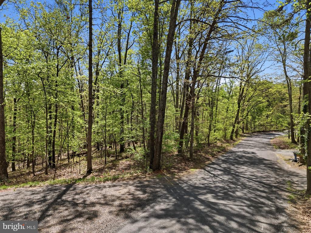 OBANNONS MILL RD, BOSTON, Virginia 22713, ,Land,OBANNONS MILL RD,VACU2013426 MLS # VACU2013426