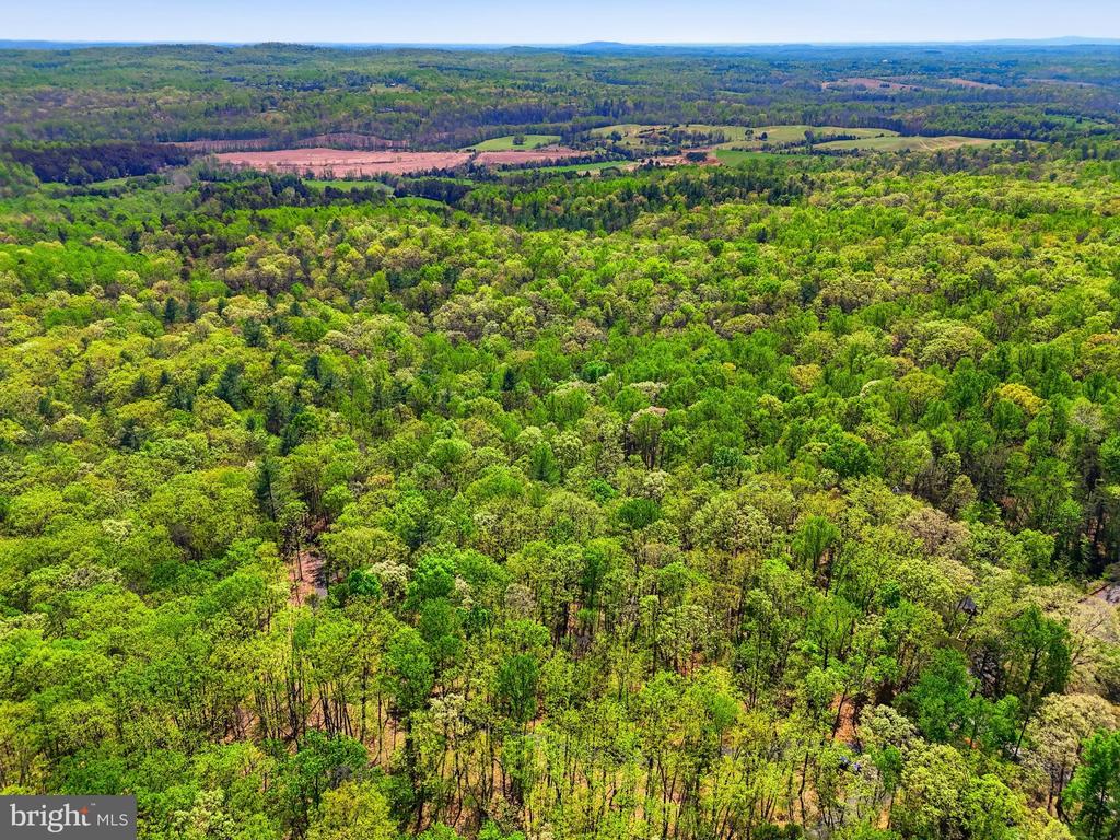 OBANNONS MILL RD, BOSTON, Virginia 22713, ,Land,OBANNONS MILL RD,VACU2013426 MLS # VACU2013426