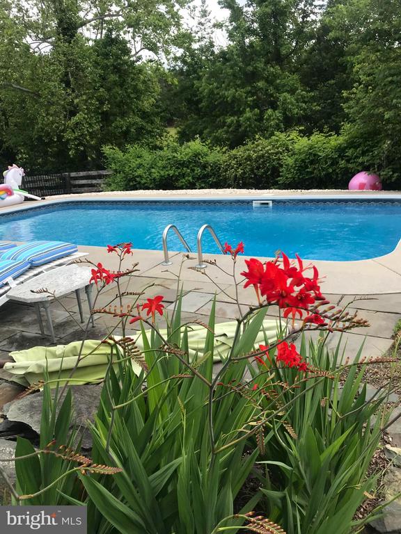 575 PERKINS RD, KENTS STORE, Virginia 23084, 3 Bedrooms Bedrooms, ,2 BathroomsBathrooms,Residential,575 PERKINS RD,VAFN2000640 MLS # VAFN2000640