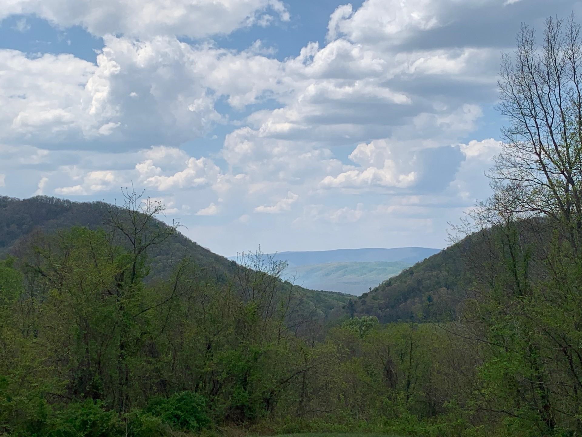 tbd FLAG ROCK TRL, HOT SPRINGS, Virginia 24445, ,Land,Old Dairy lot 36,tbd FLAG ROCK TRL,676288 MLS # 676288