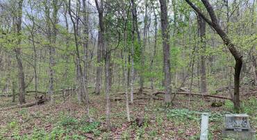 tbd FLAG ROCK TRL, HOT SPRINGS, Virginia 24445, ,Land,Old Dairy lot 36,tbd FLAG ROCK TRL,676288 MLS # 676288