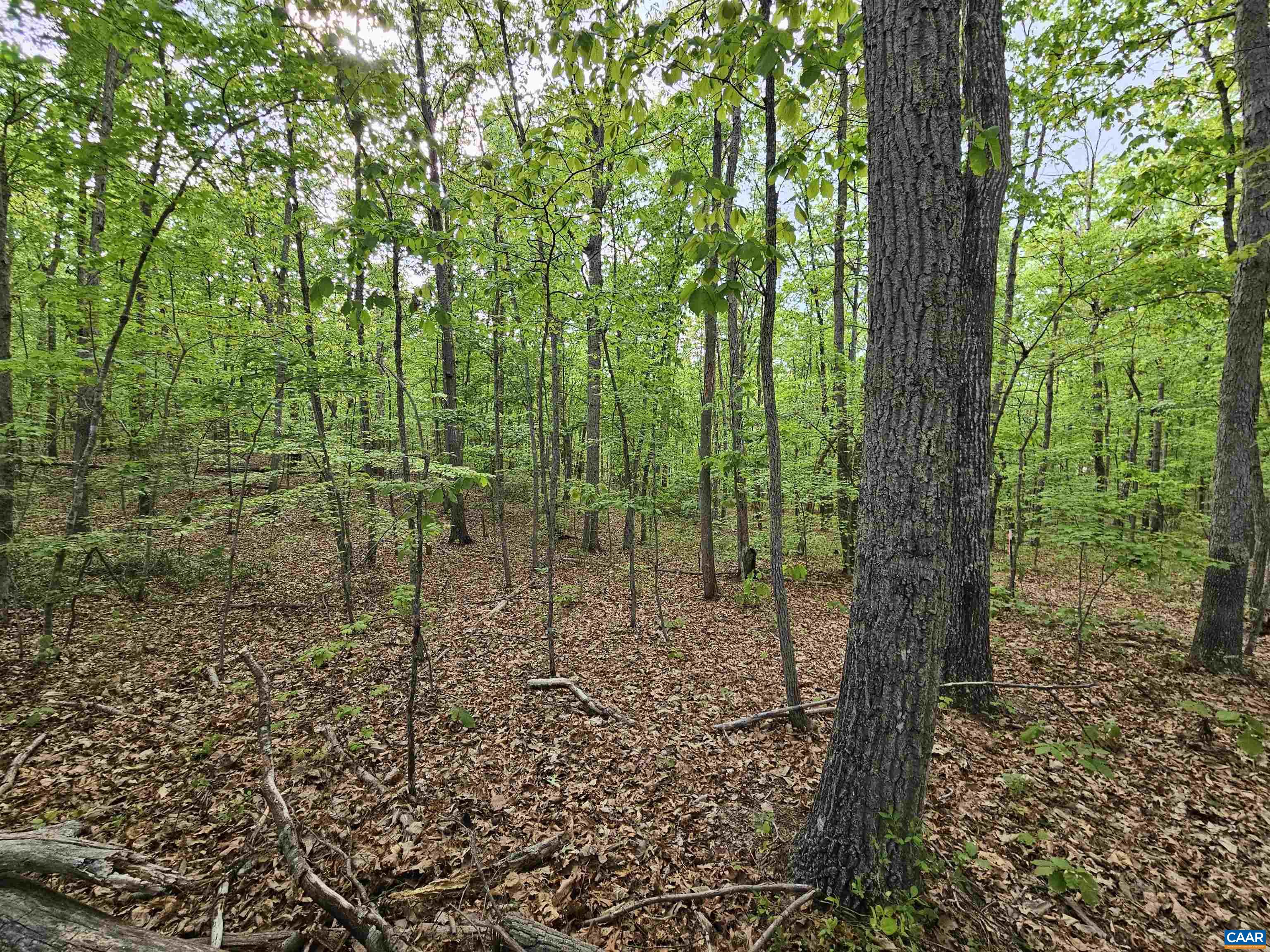 3.1 Ac AXTELL RD, HOWARDSVILLE, Virginia 24562, ,Land,3.1 Ac AXTELL RD,676297 MLS # 676297