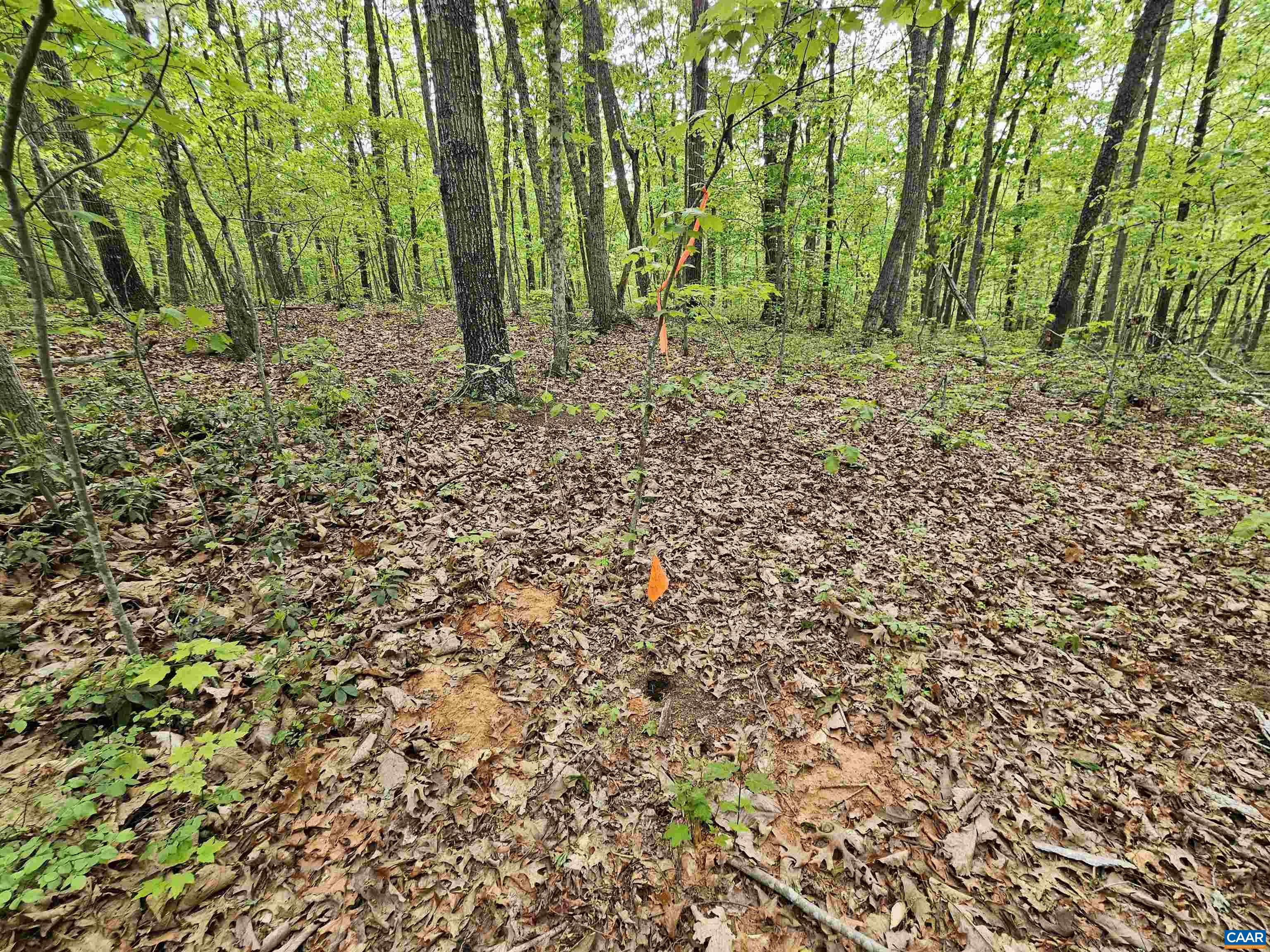 3.1 Ac AXTELL RD, HOWARDSVILLE, Virginia 24562, ,Land,3.1 Ac AXTELL RD,676297 MLS # 676297