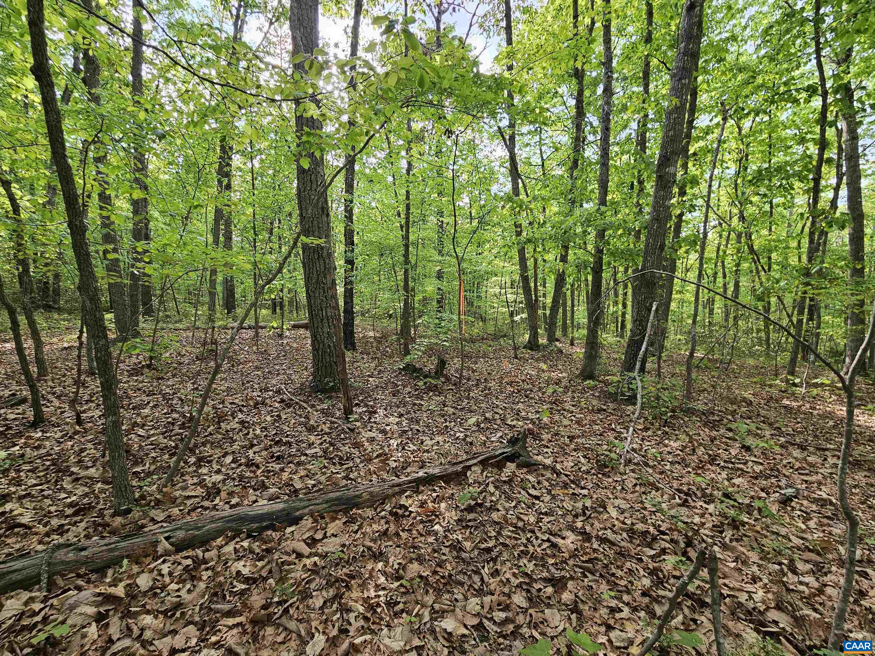 3.1 Ac AXTELL RD, HOWARDSVILLE, Virginia 24562, ,Land,3.1 Ac AXTELL RD,676297 MLS # 676297
