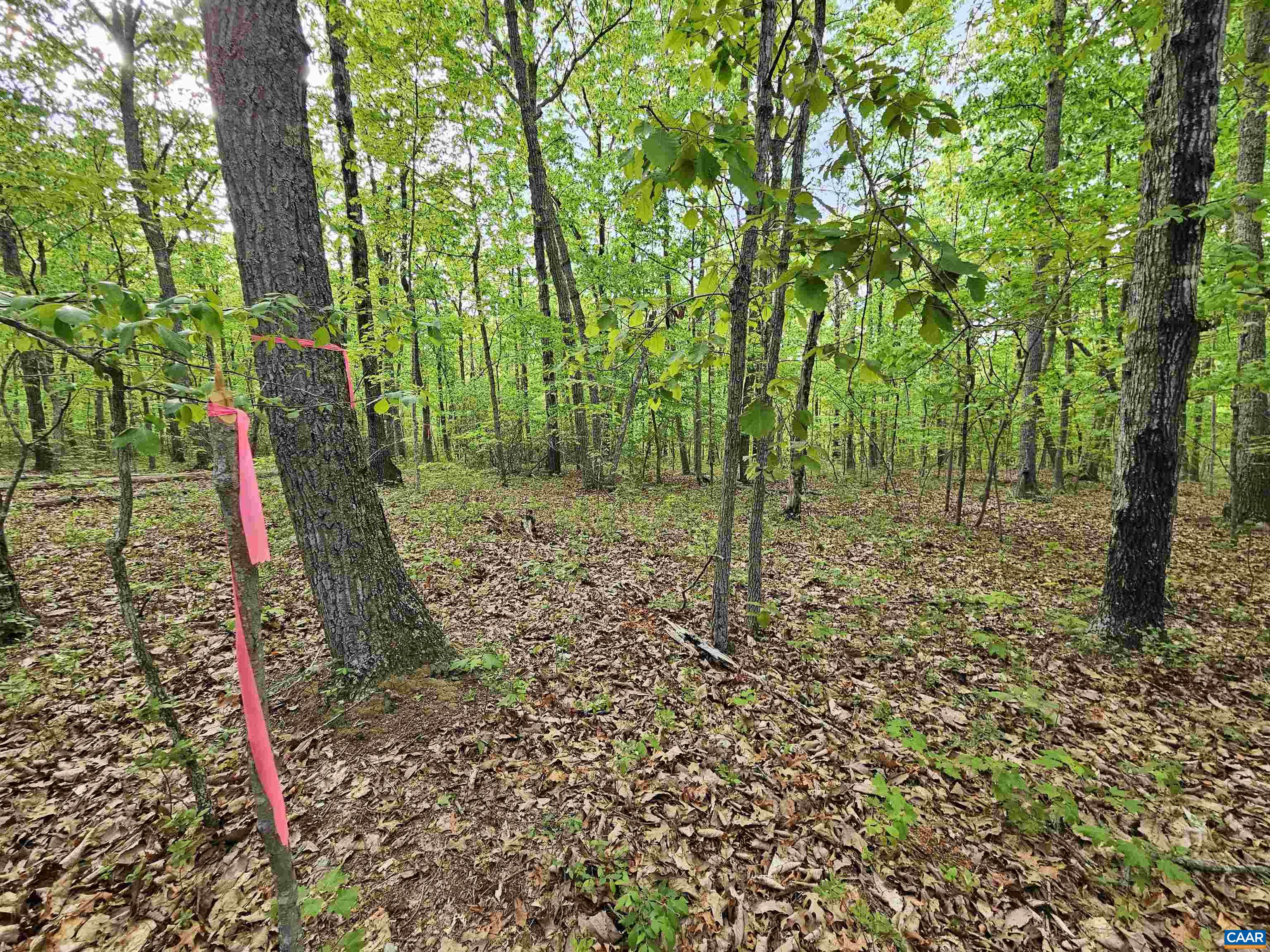 3.1 Ac AXTELL RD, HOWARDSVILLE, Virginia 24562, ,Land,3.1 Ac AXTELL RD,676297 MLS # 676297