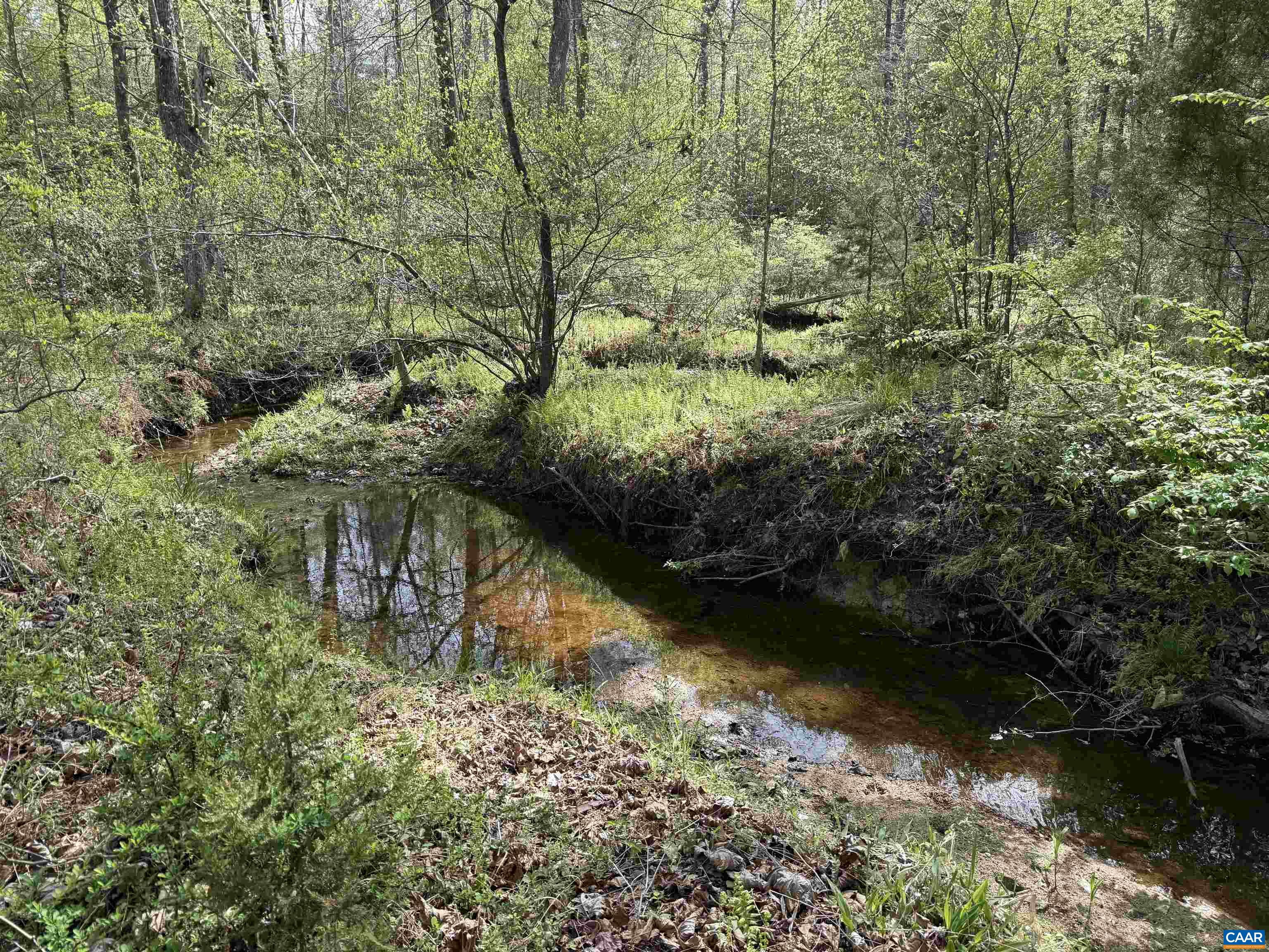 0 PADDOCK WOOD RD, ZION CROSSROADS, Virginia 22942, ,Farm,0 PADDOCK WOOD RD,676299 MLS # 676299