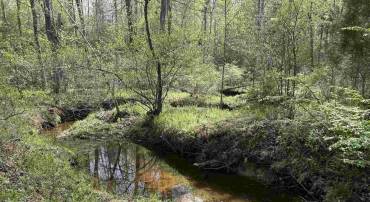 0 PADDOCK WOOD RD, ZION CROSSROADS, Virginia 22942, ,Farm,0 PADDOCK WOOD RD,676299 MLS # 676299