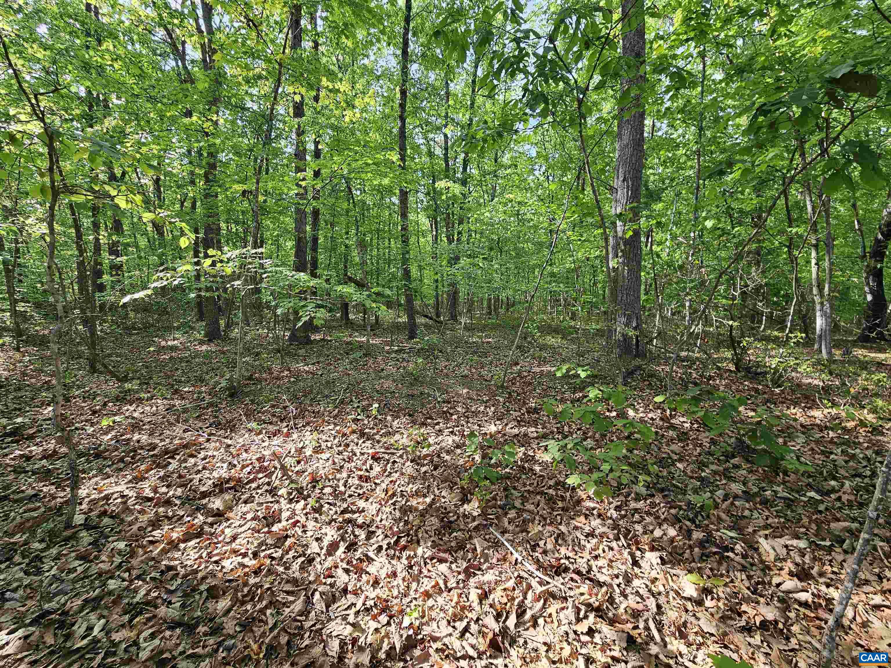 6.939 AXTELL RD, HOWARDSVILLE, Virginia 24562, ,Land,6.939 AXTELL RD,676300 MLS # 676300