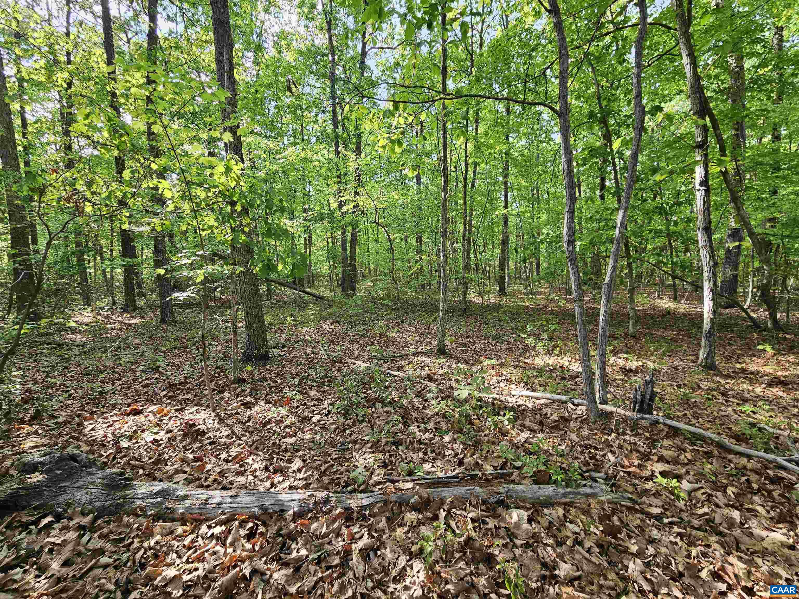 6.939 AXTELL RD, HOWARDSVILLE, Virginia 24562, ,Land,6.939 AXTELL RD,676300 MLS # 676300